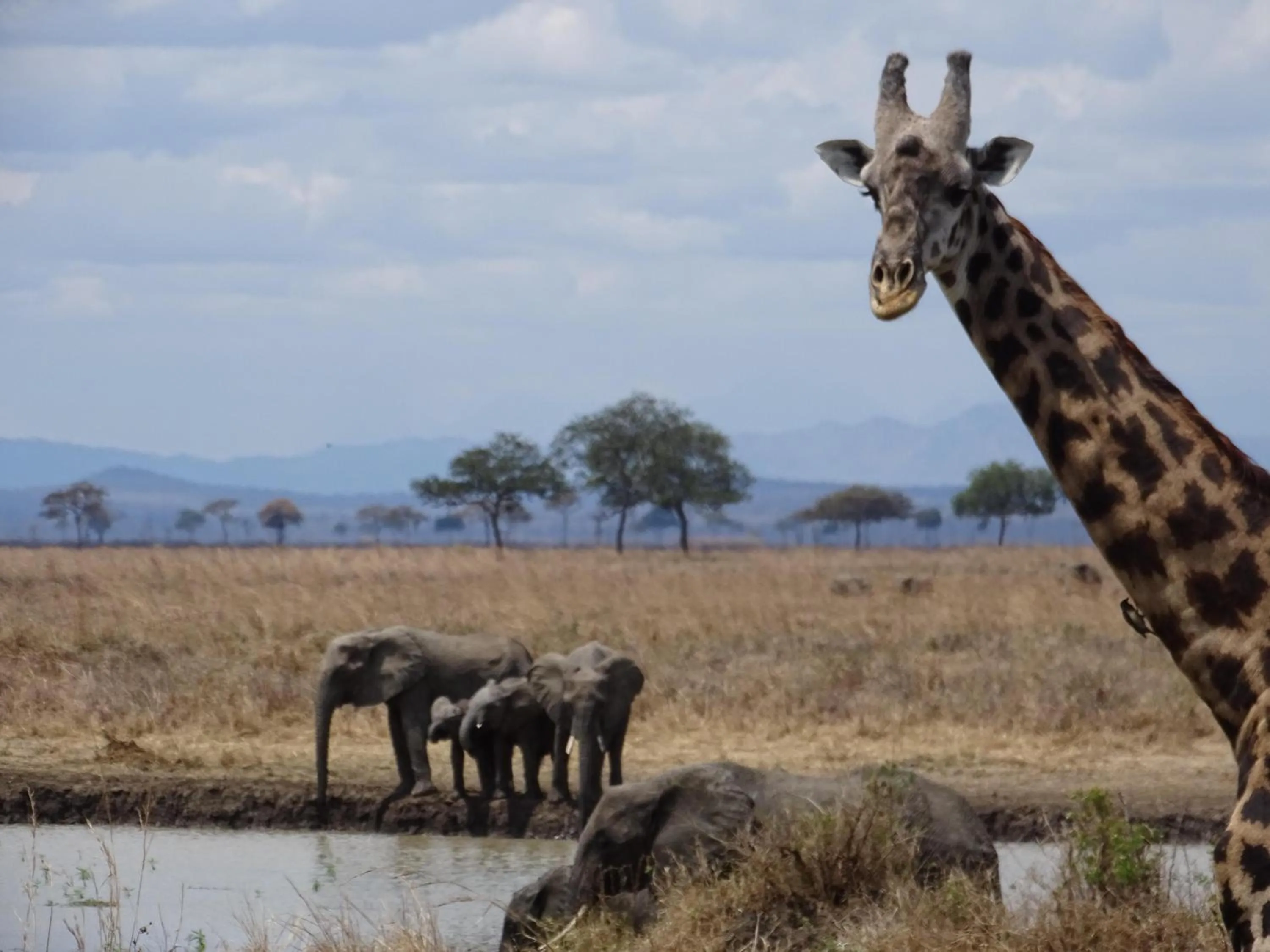 Beach in Eden Paradise