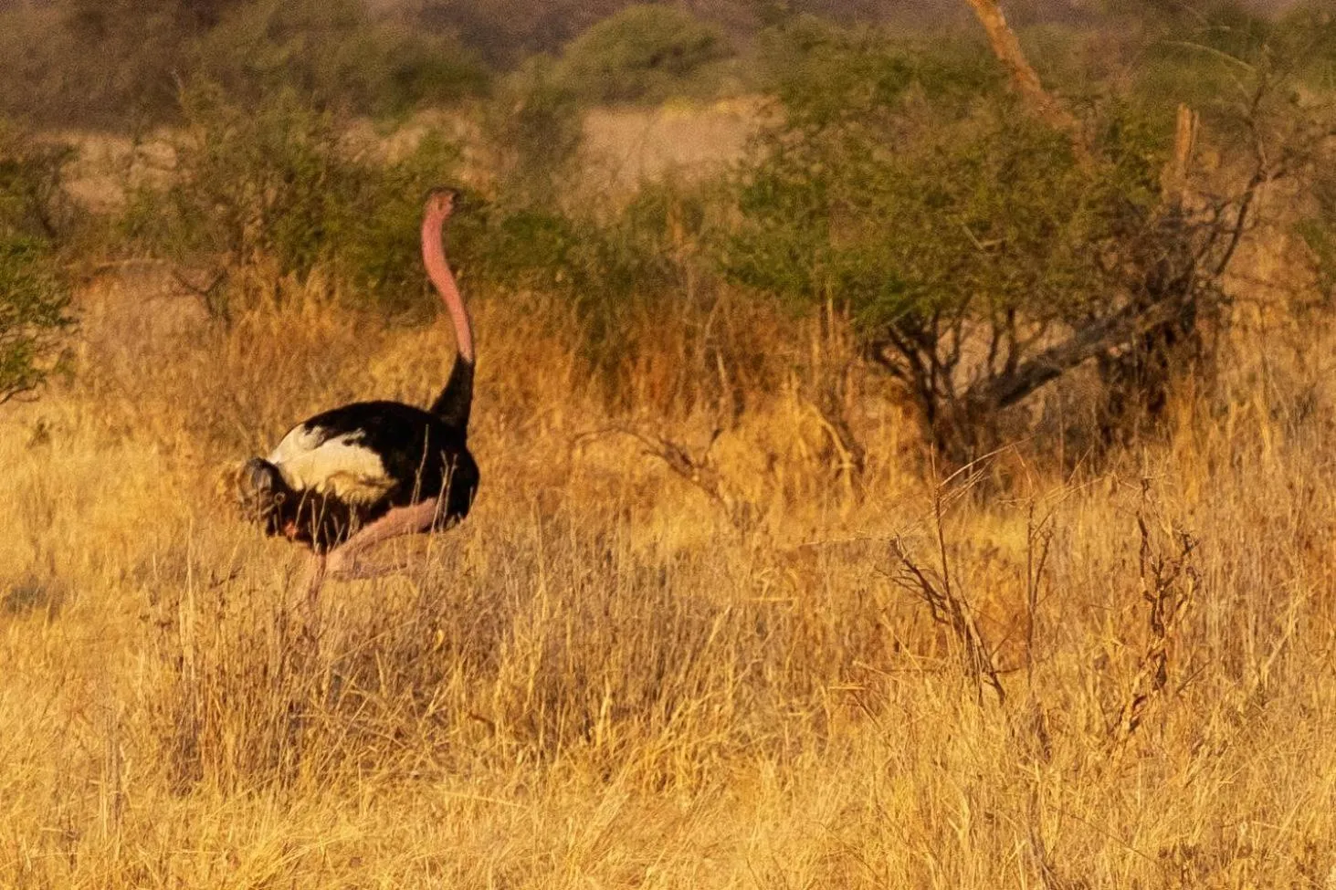 Activities in Eden Paradise