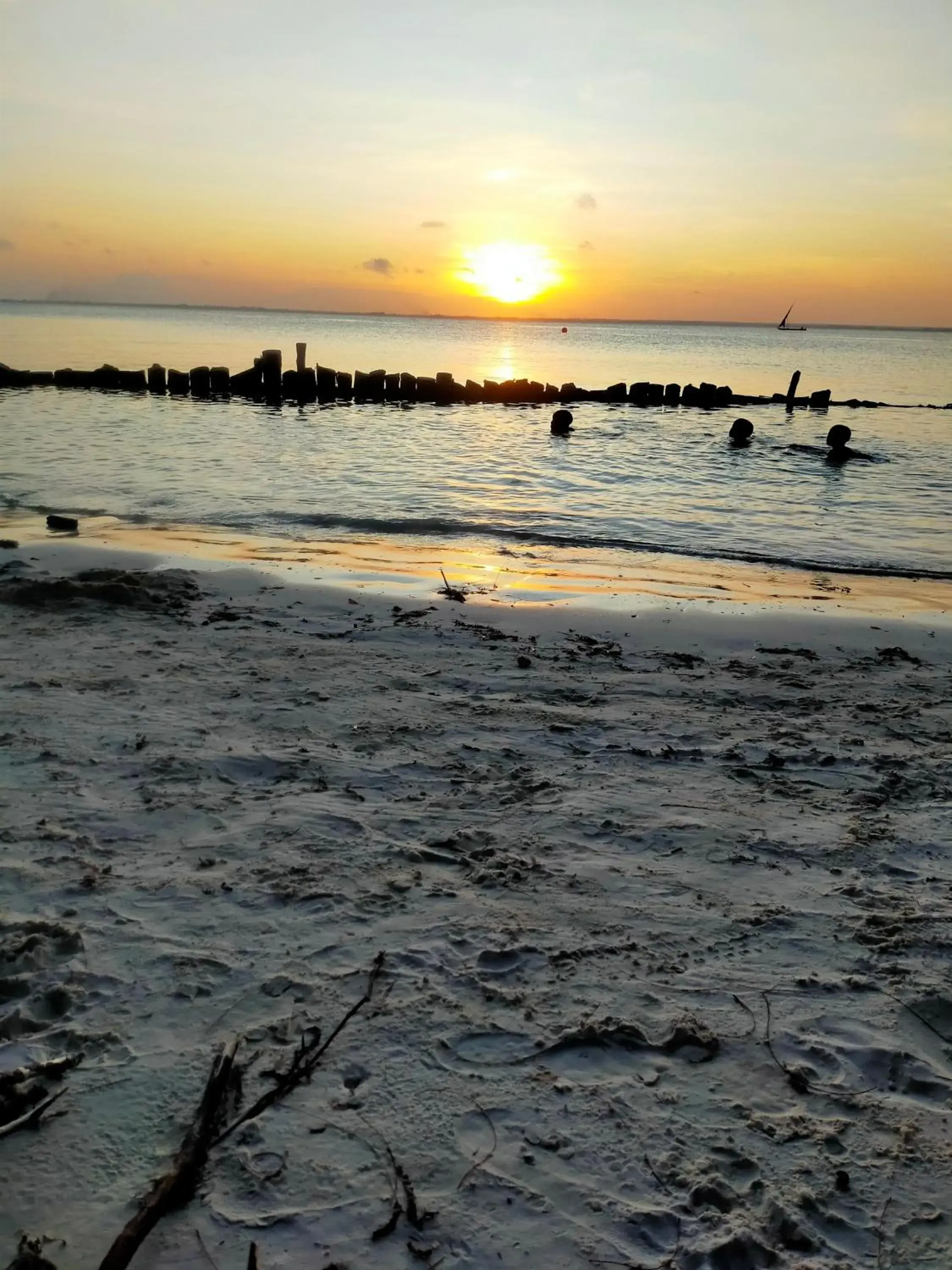 Property building in Eden Paradise Property building in Eden Paradise