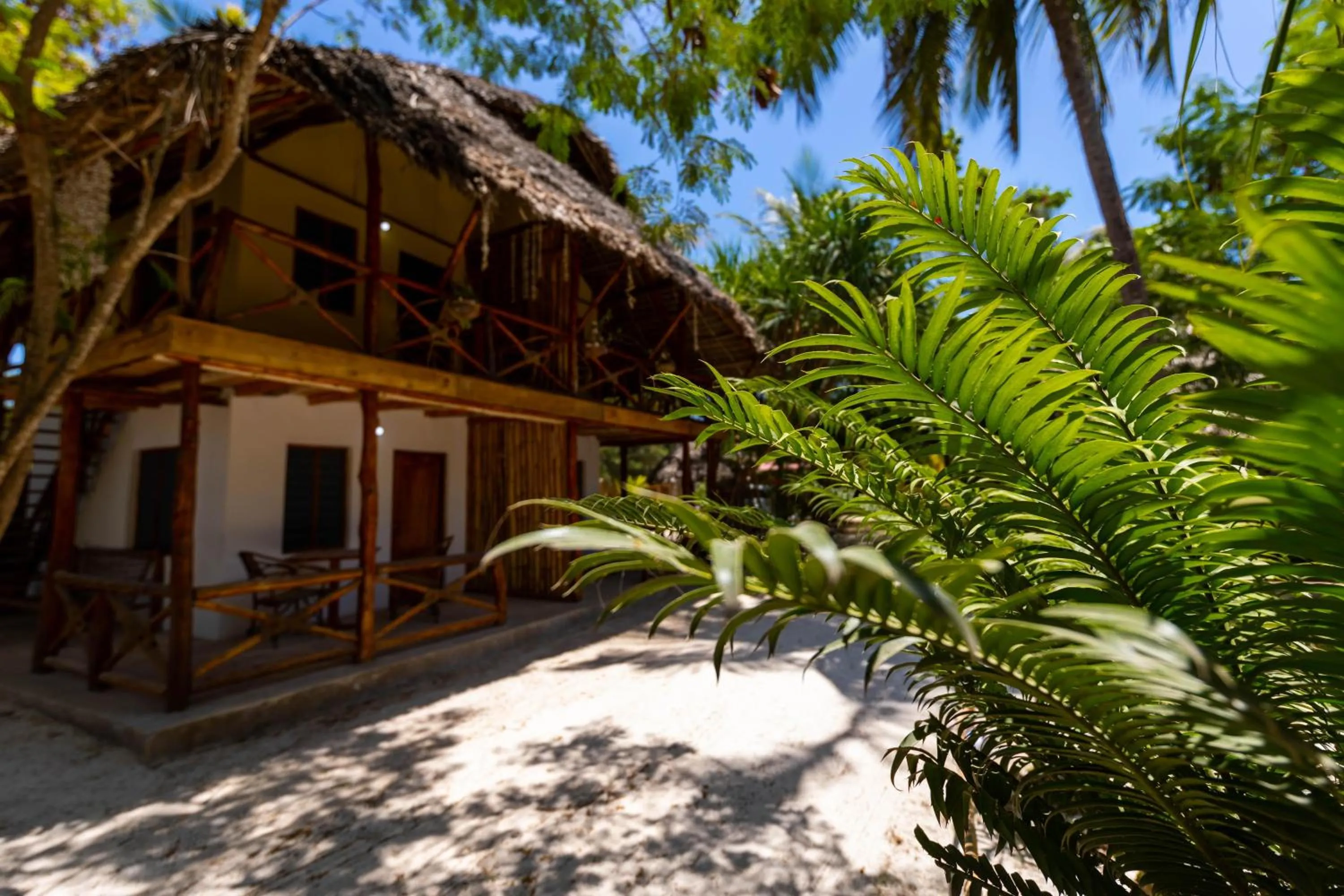 Garden in Eden Paradise