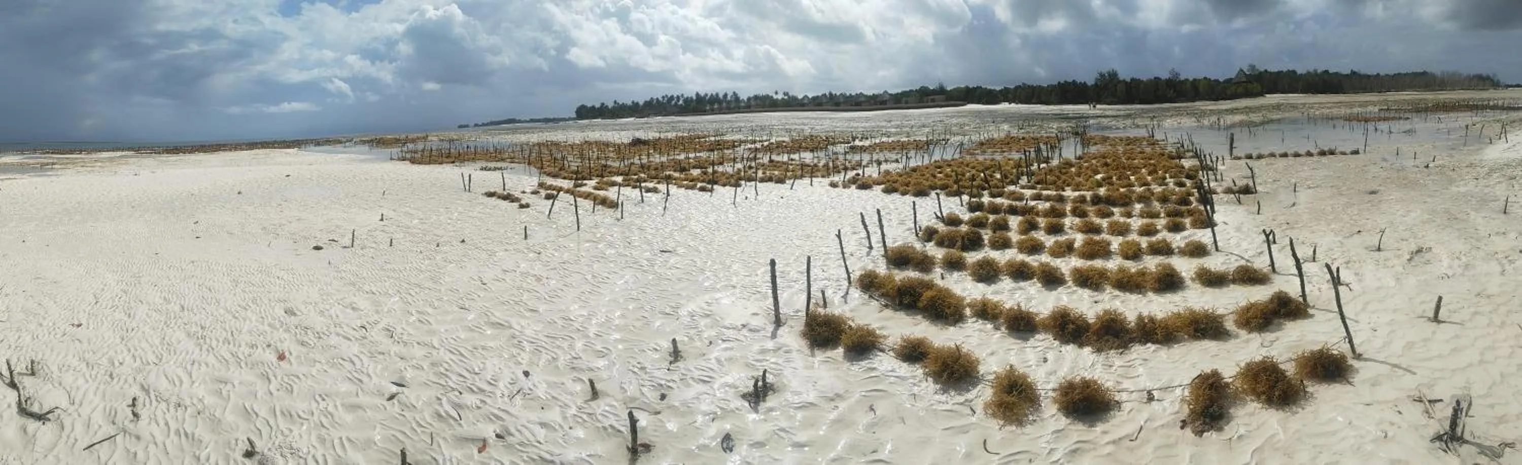 People in Eden Paradise