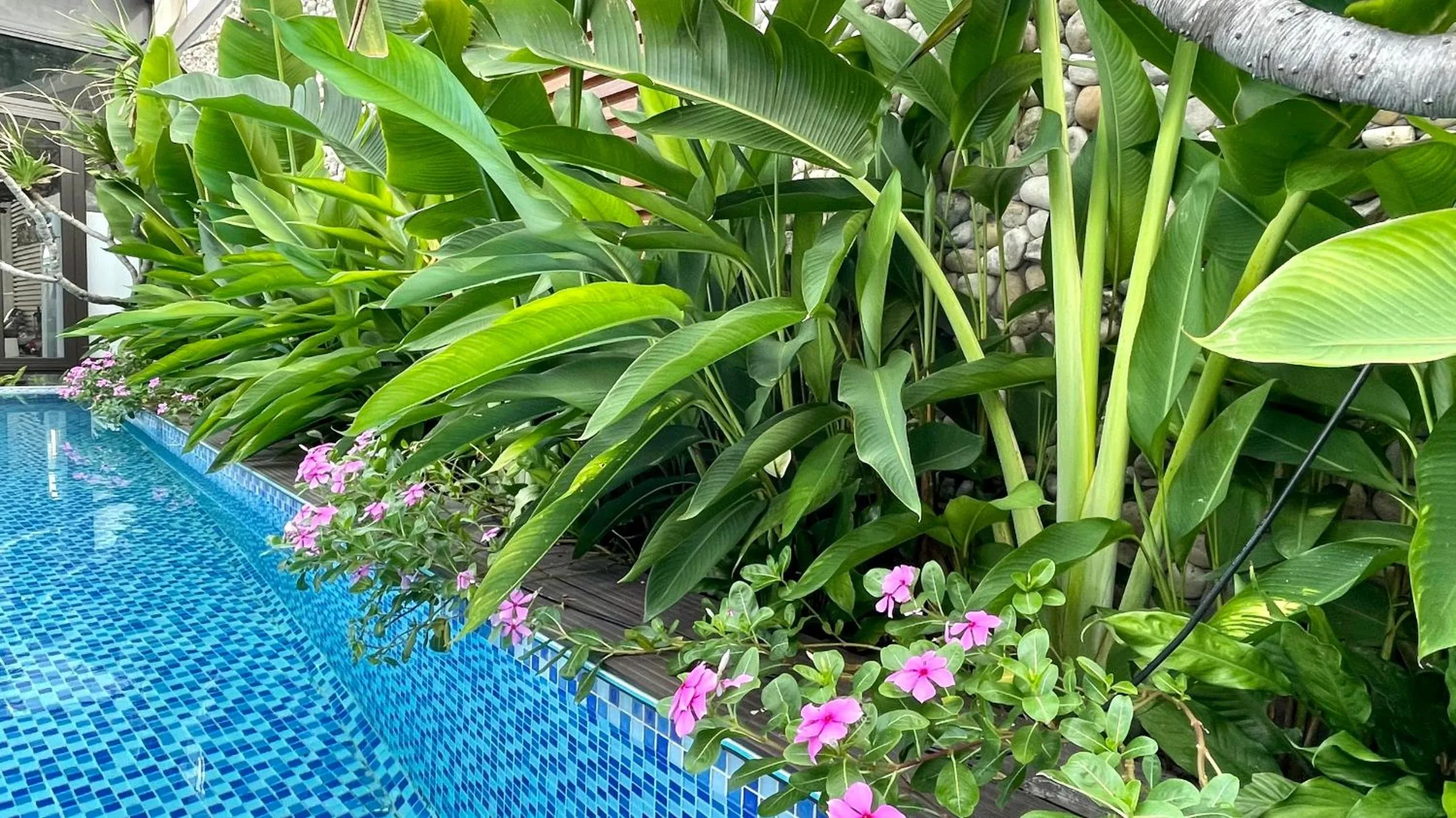 Garden in PHOENIX MINH CHÂU HOTEL