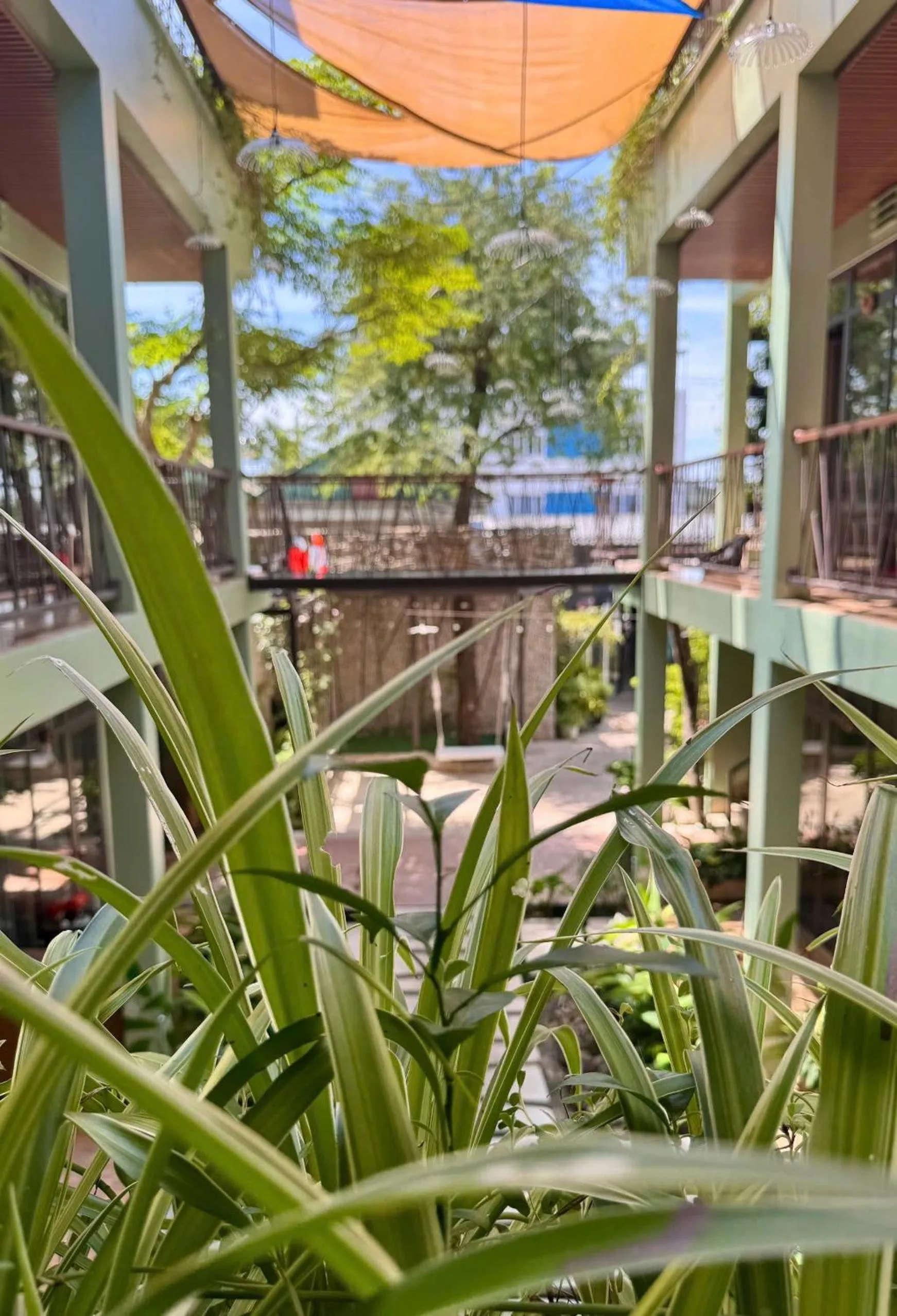 PHOENIX MINH CHÂU HOTEL