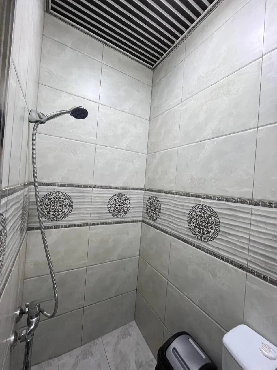 Toilet in FENIX HOTEL