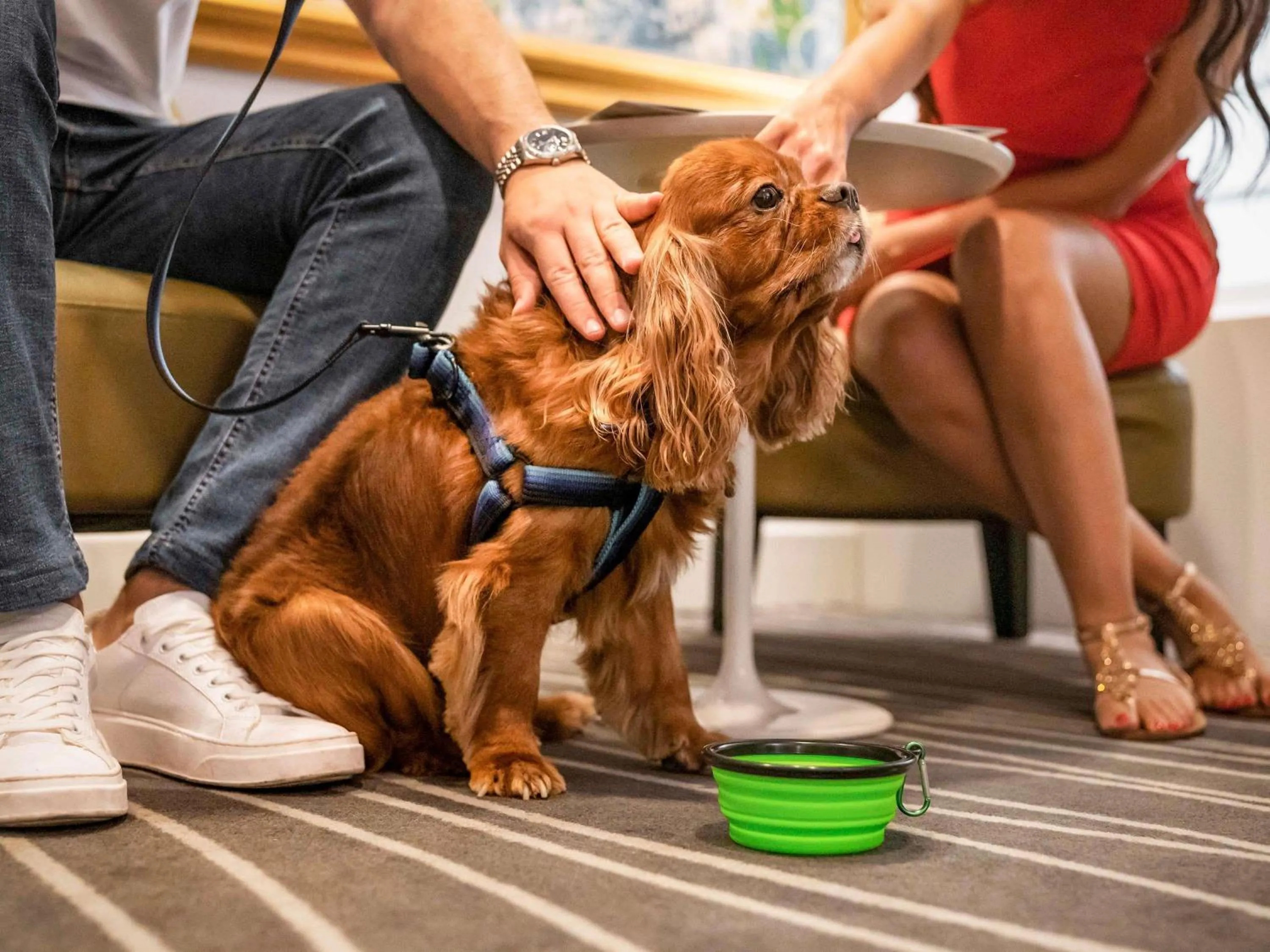 Other in Mercure Napoli Centro Angioino