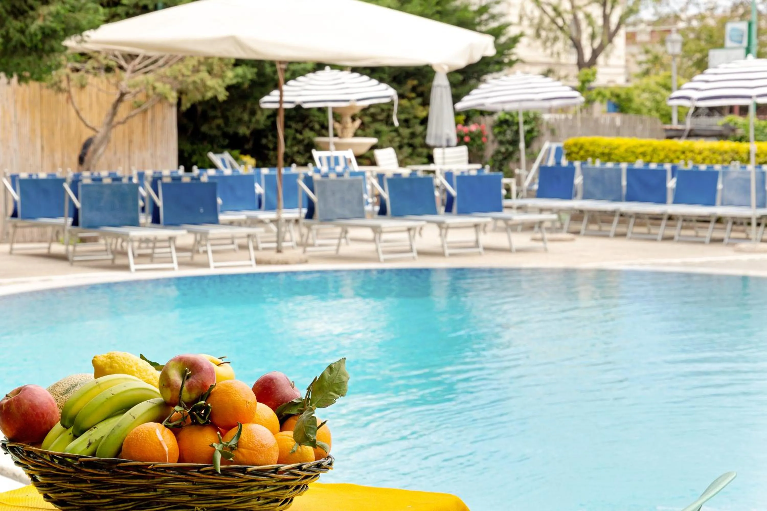 Pool view in Hotel Carmencita