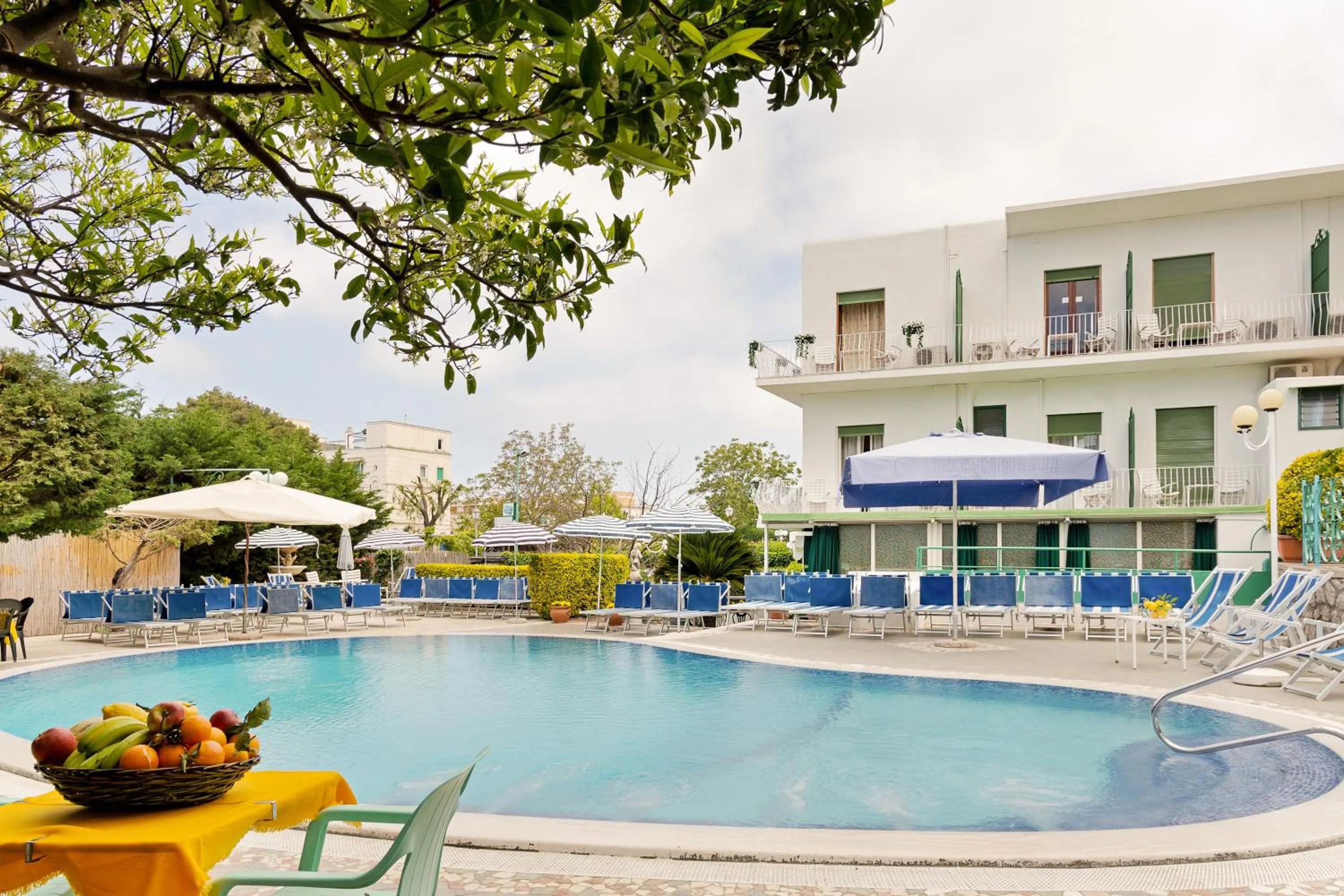 Pool view in Hotel Carmencita