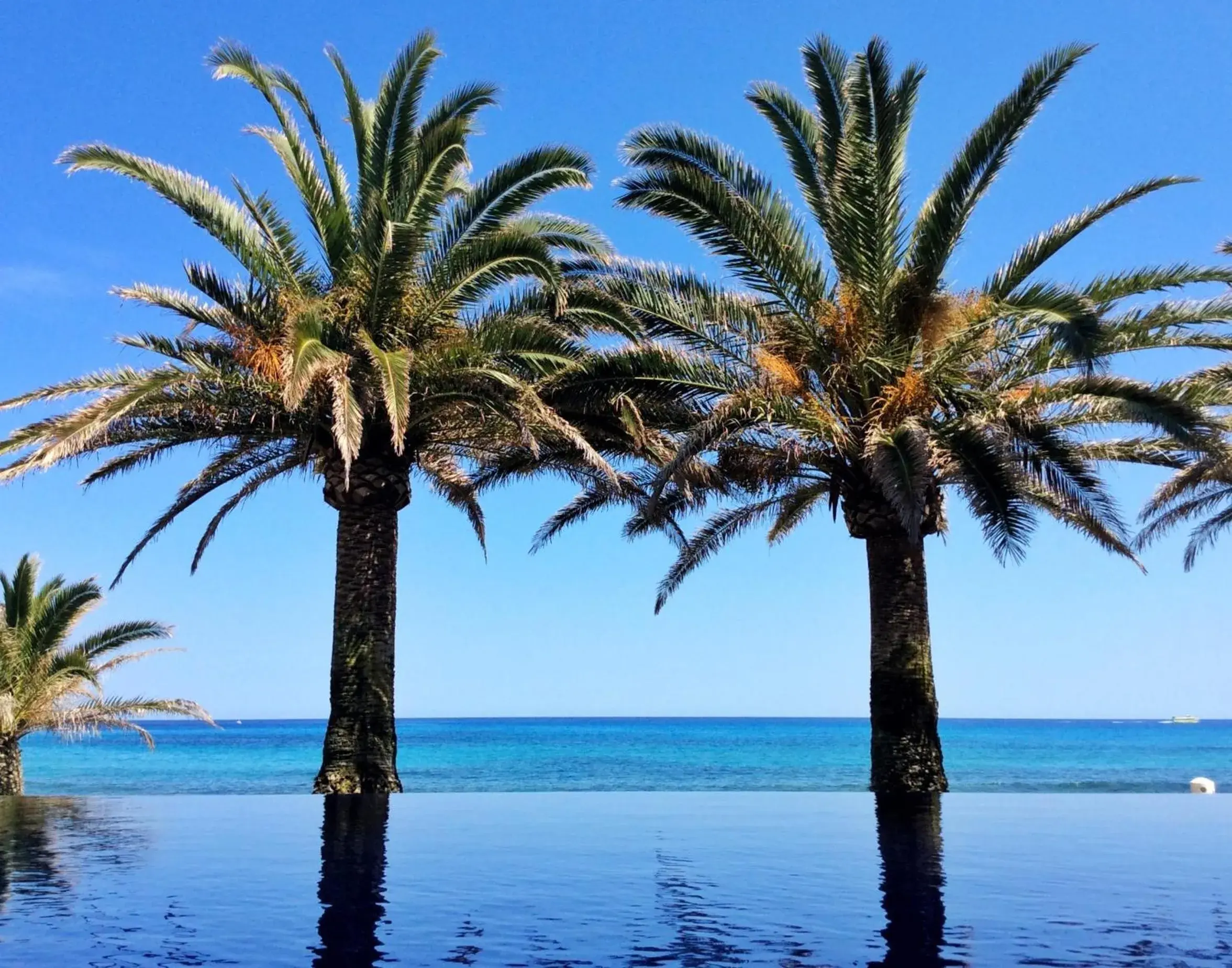 Swimming pool in Melbeach Hotel & Spa - Adults Only Swimming pool in Melbeach Hotel & Spa - Adults Only