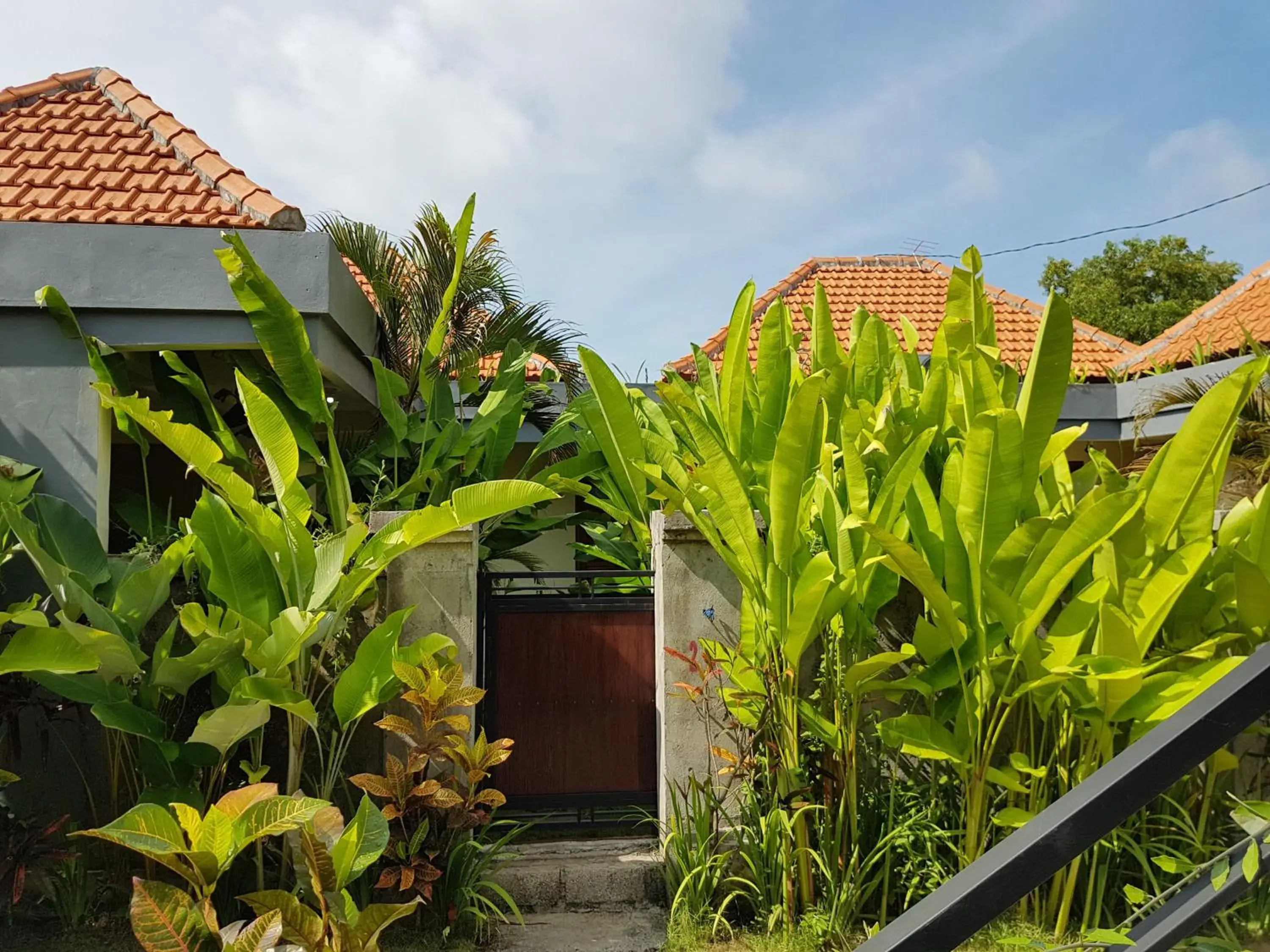 Garden view in Pandawa Beach Homestay Garden view in Pandawa Beach Homestay