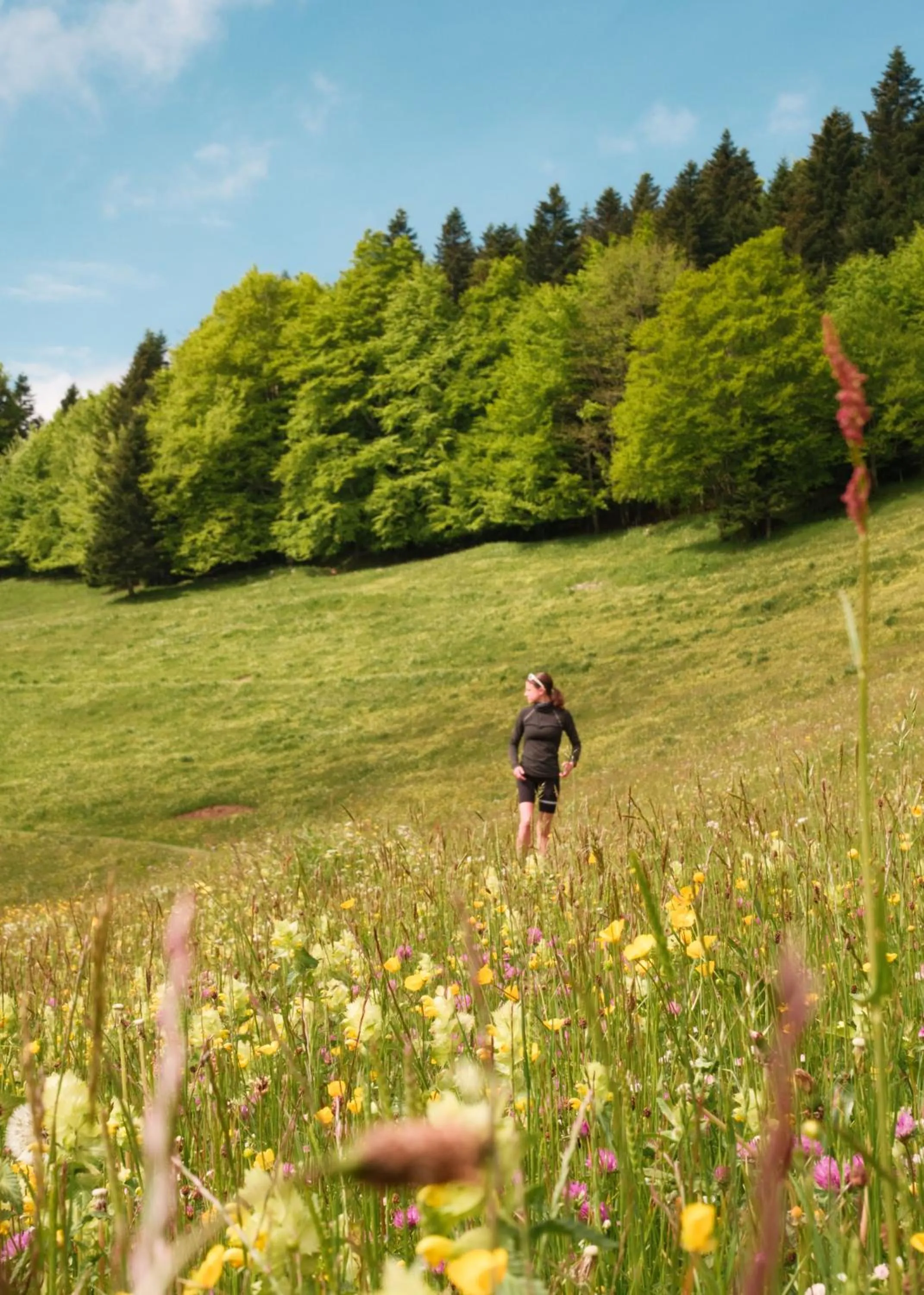 Spring in Hostel Quartier Libre