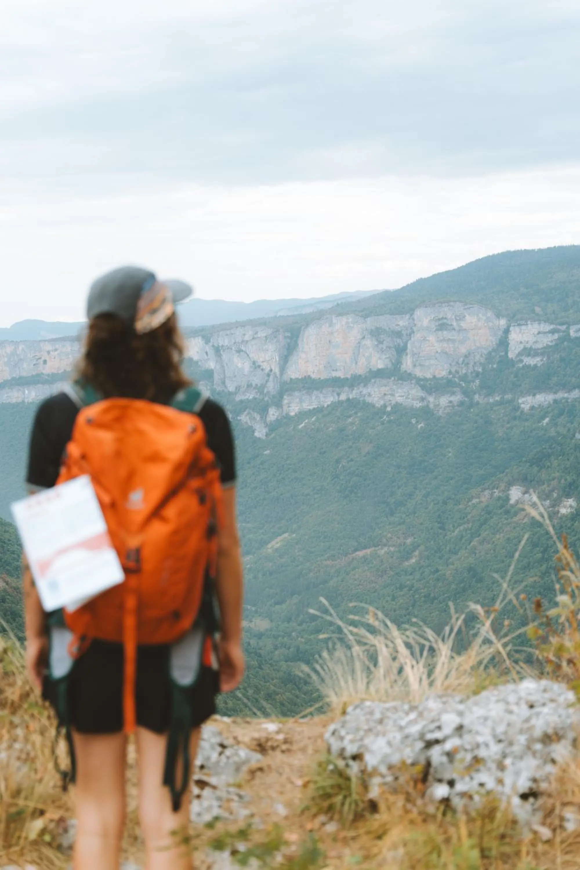 Natural landscape in Hostel Quartier Libre
