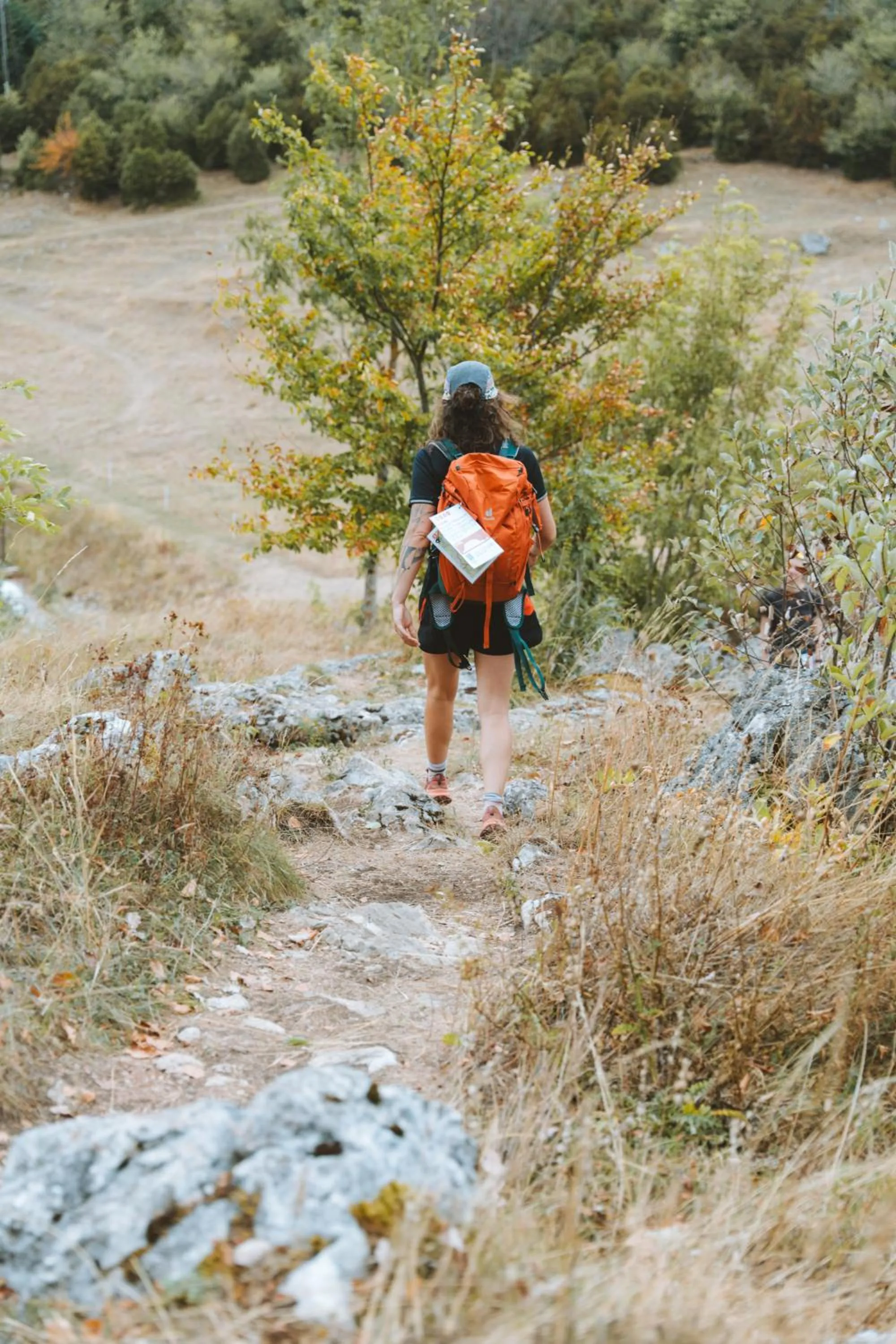 Natural landscape in Hostel Quartier Libre