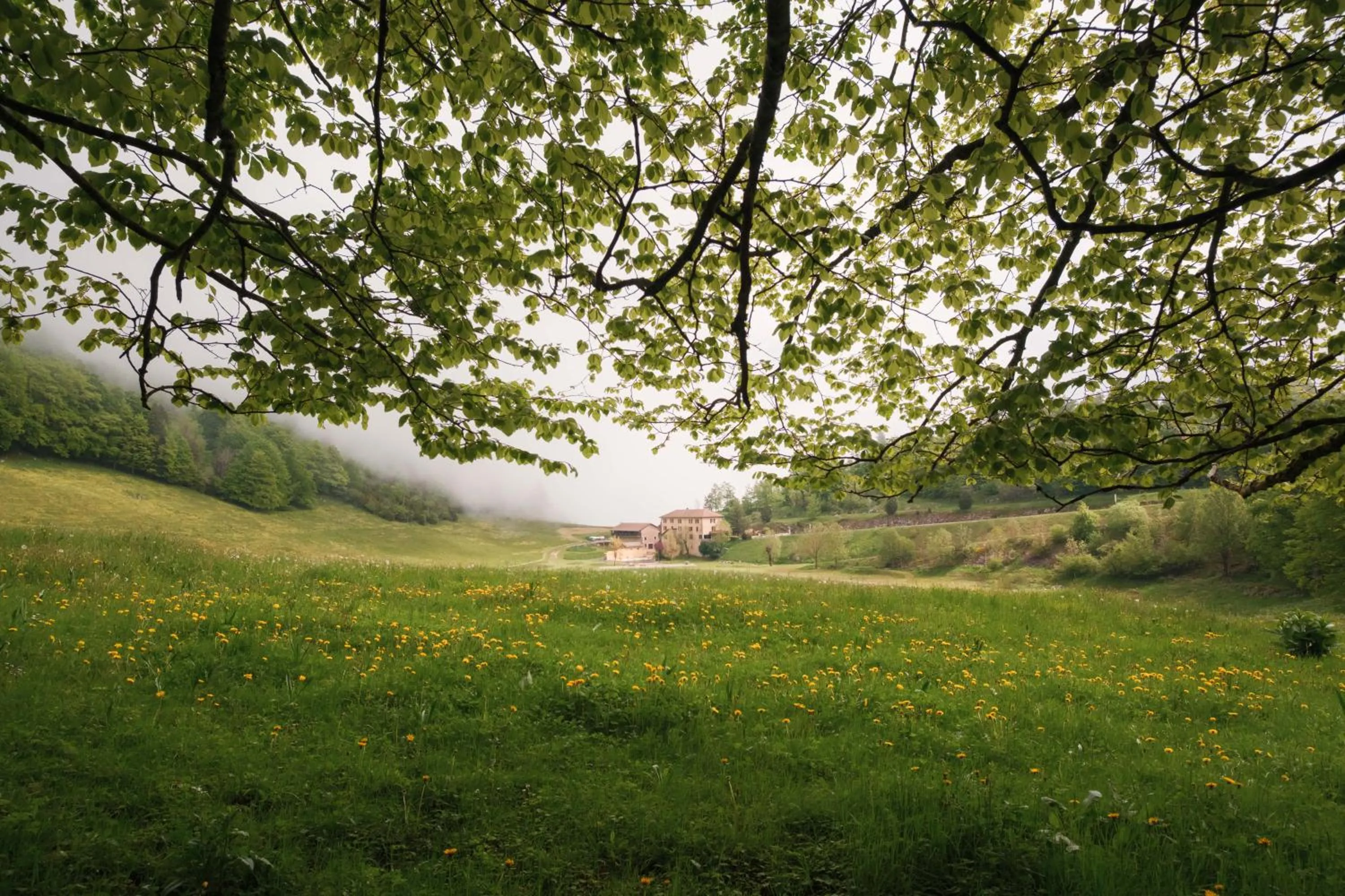 Spring in Hostel Quartier Libre