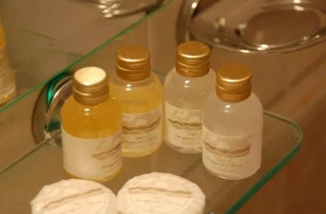 Private apartments Aparthotel Excelsior