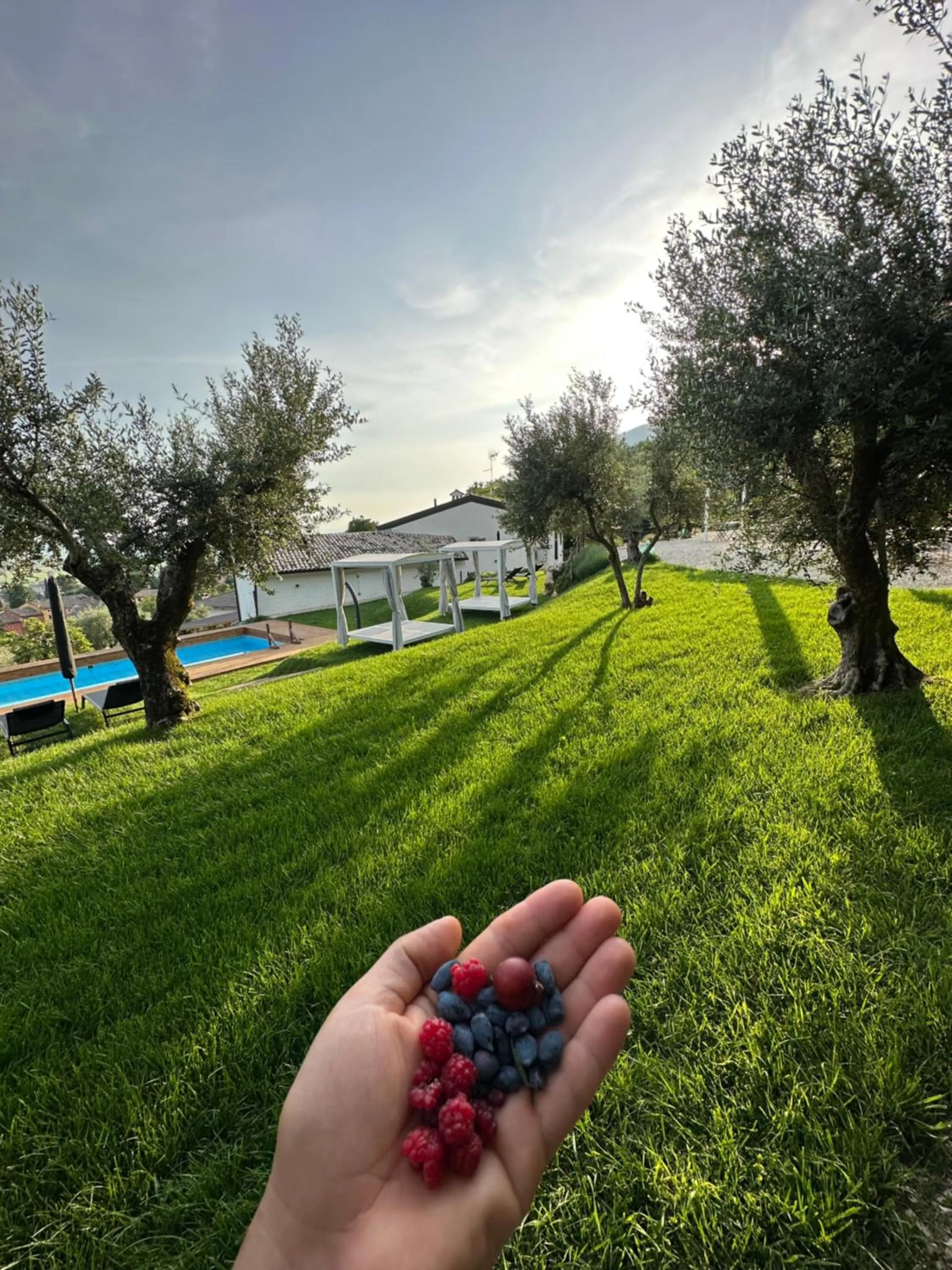 Garden in Agriturismo Maison 1933