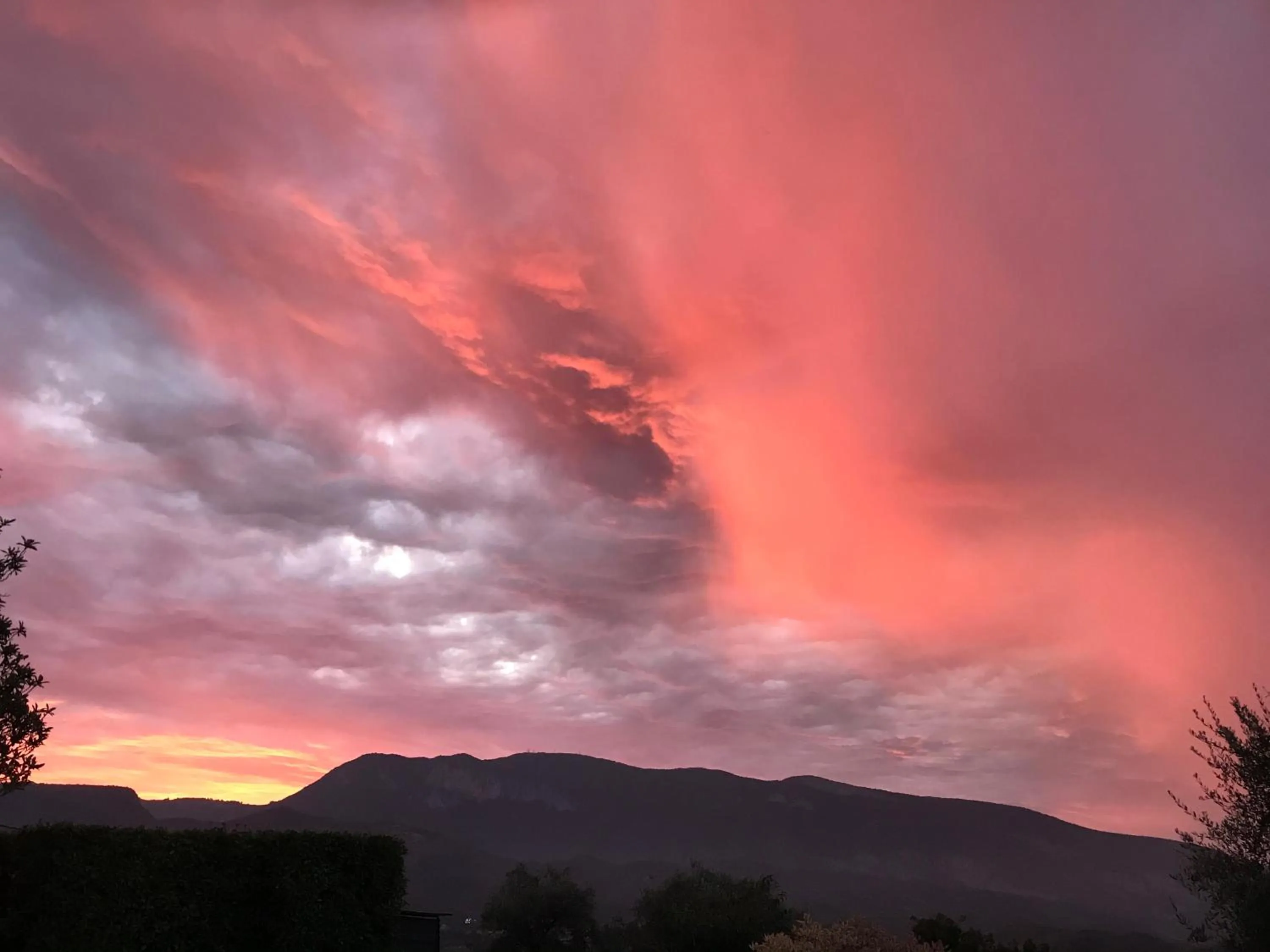 Garden view in Agriturismo Maison 1933