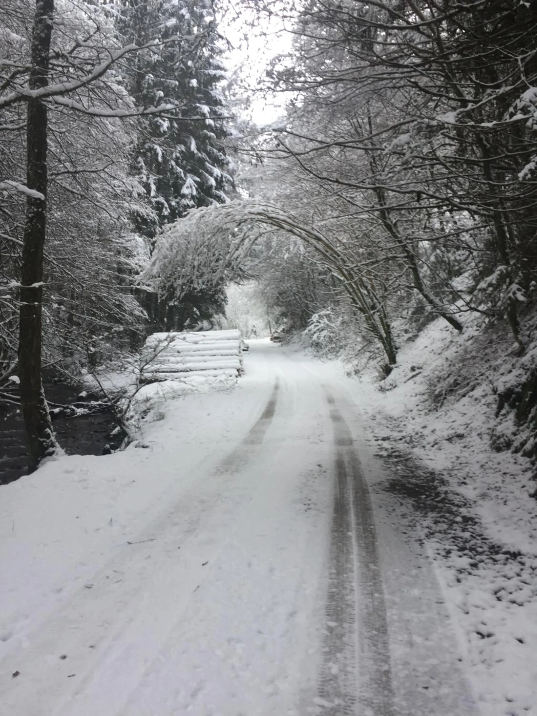 Natural landscape in Waldhotel Lemberg