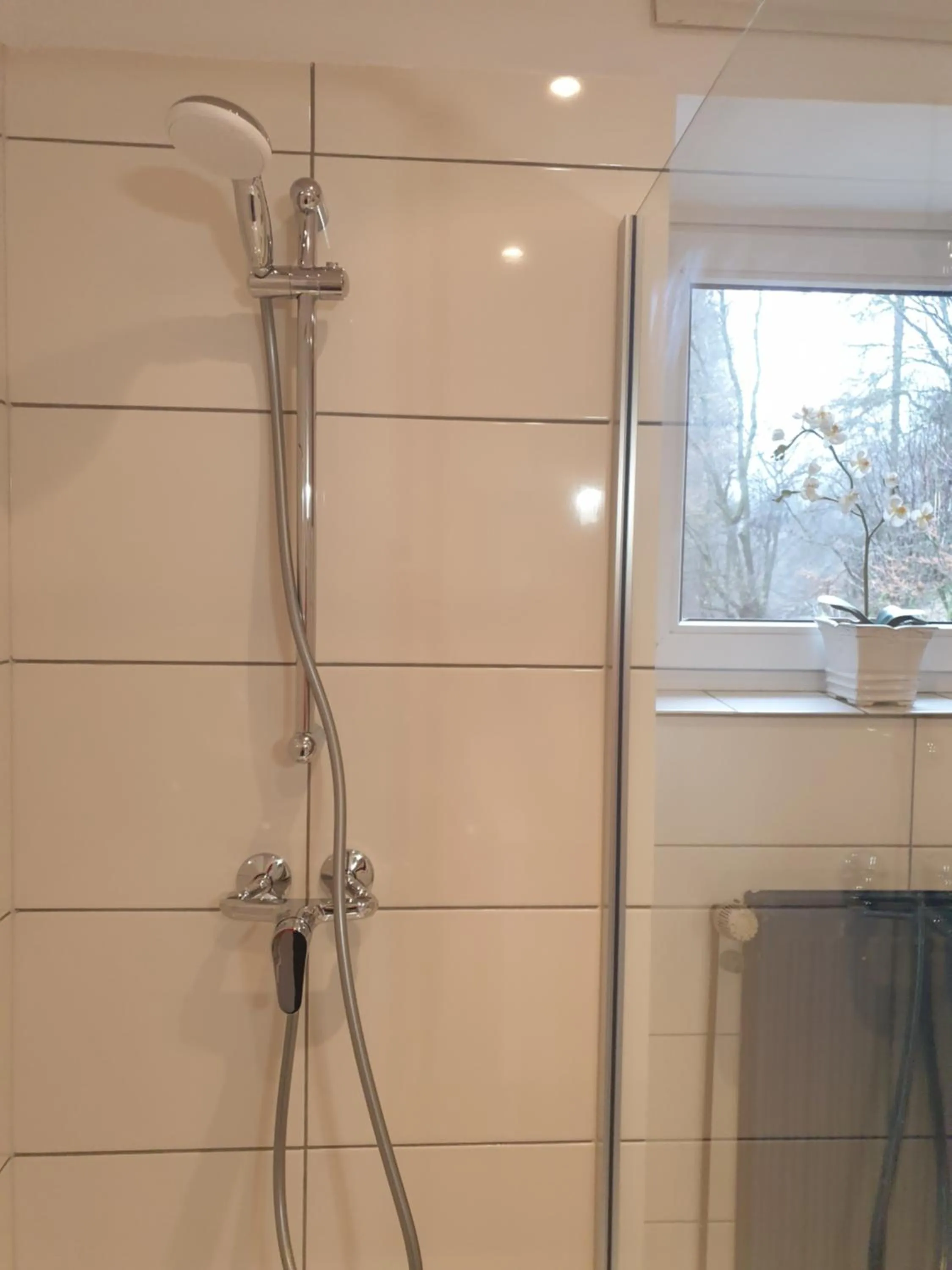 Bathroom in Waldhotel Lemberg