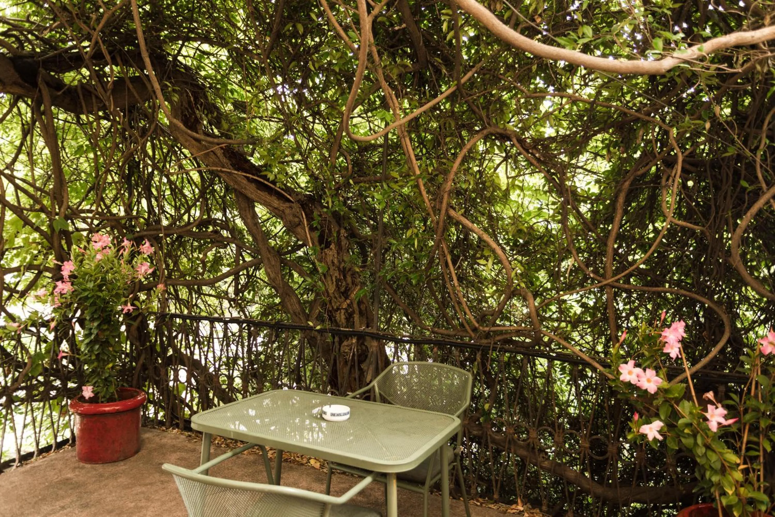 Albergo Ristorante Madonnina