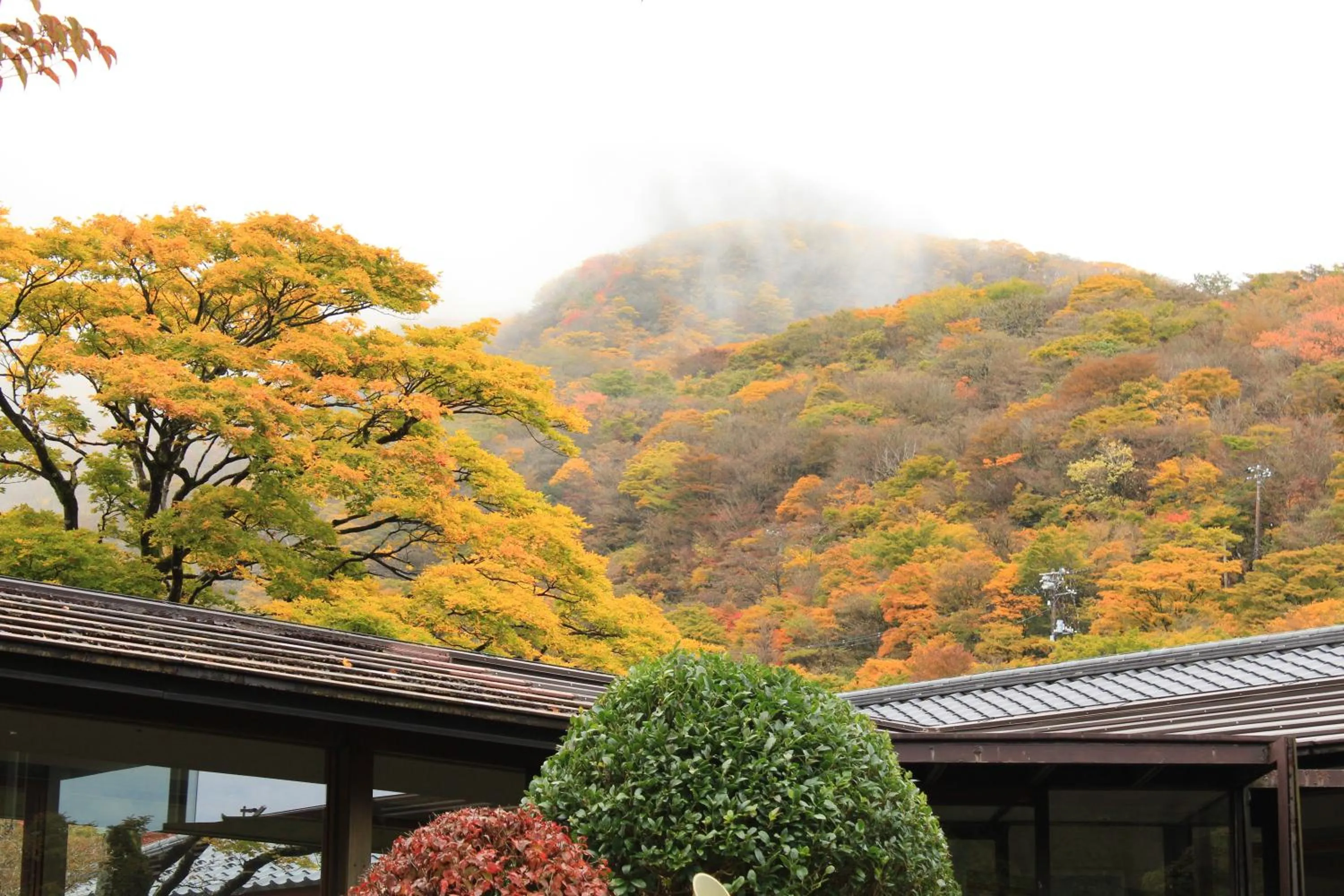 Inner courtyard view in Hakone Yunohana Prince Hotel