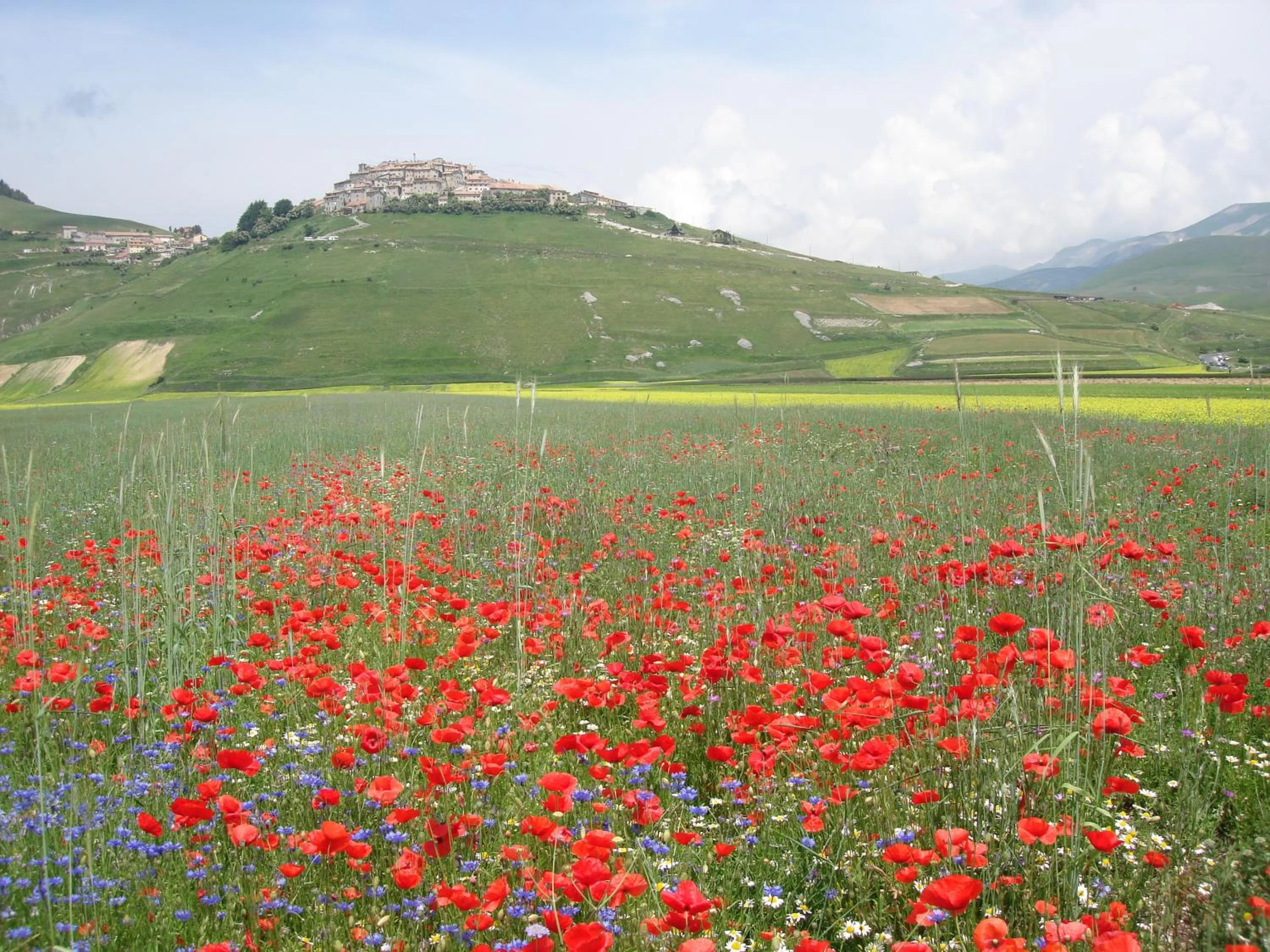 Area and facilities in Hotel Vega Perugia