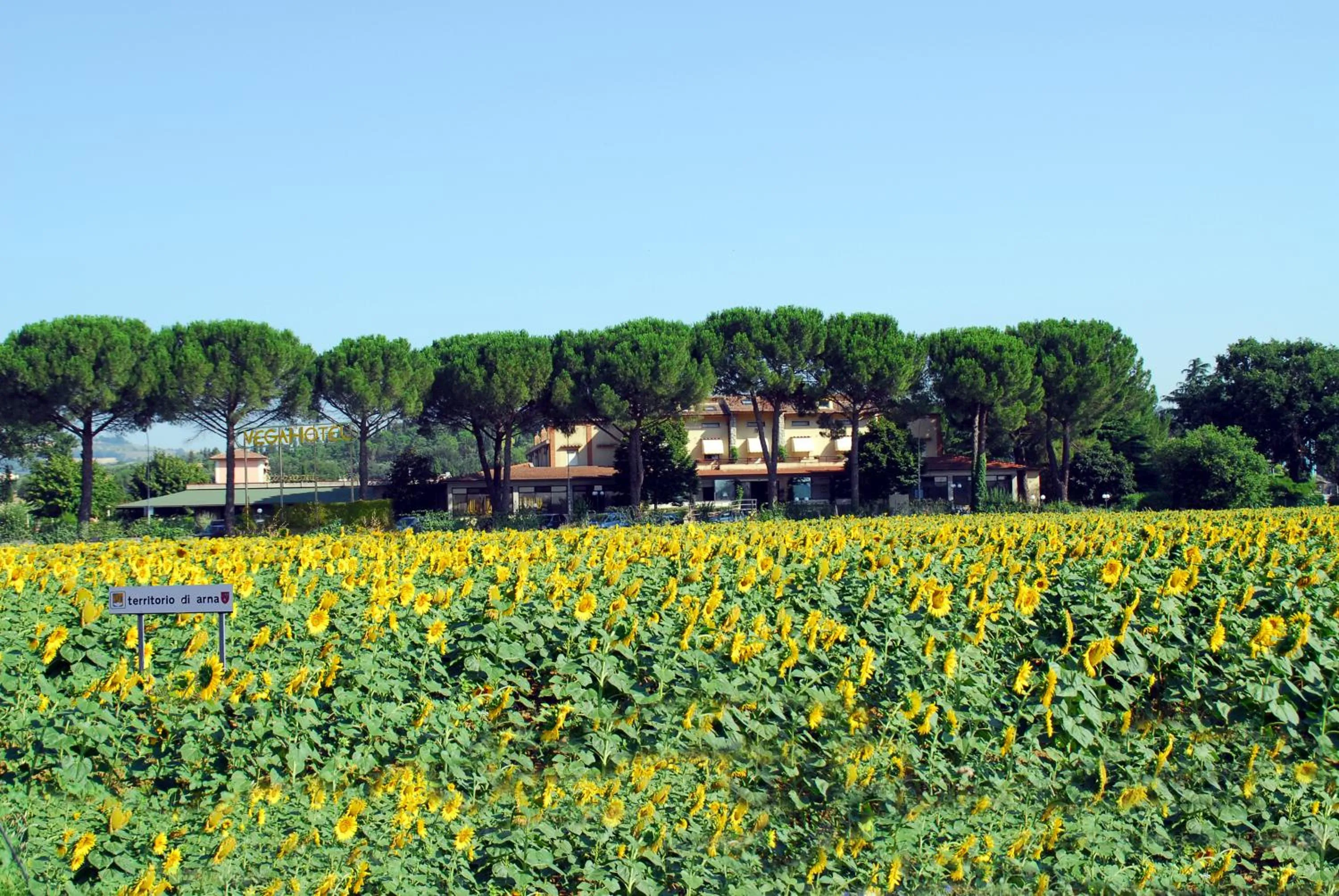 Facade/entrance in Hotel Vega Perugia