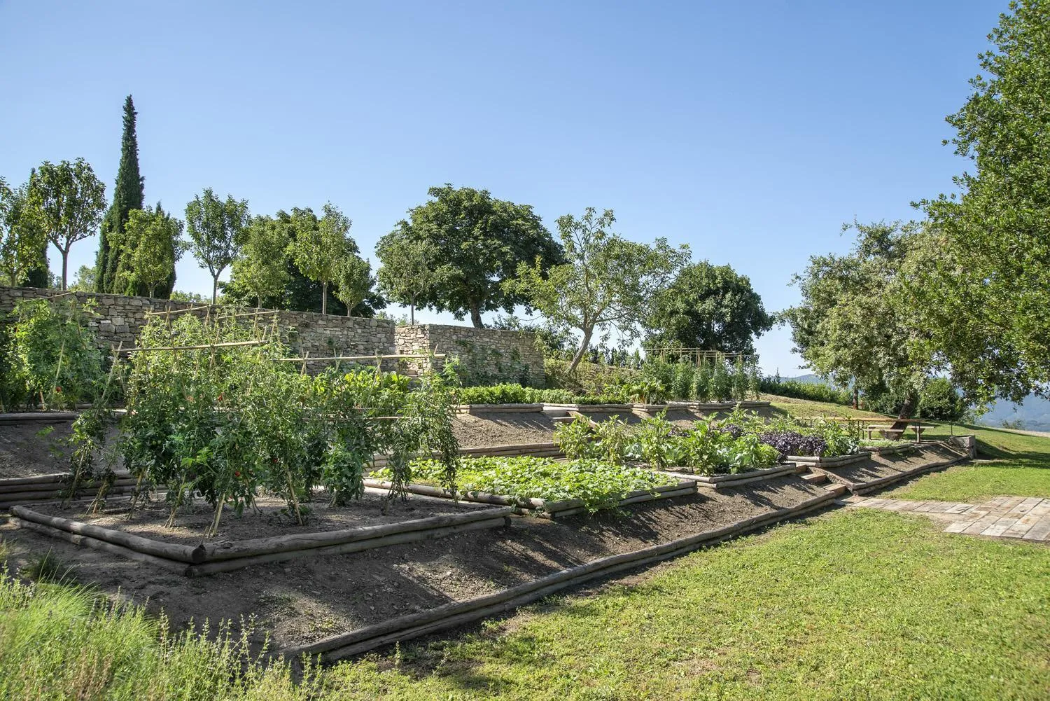 Garden in Badia di Pomaio