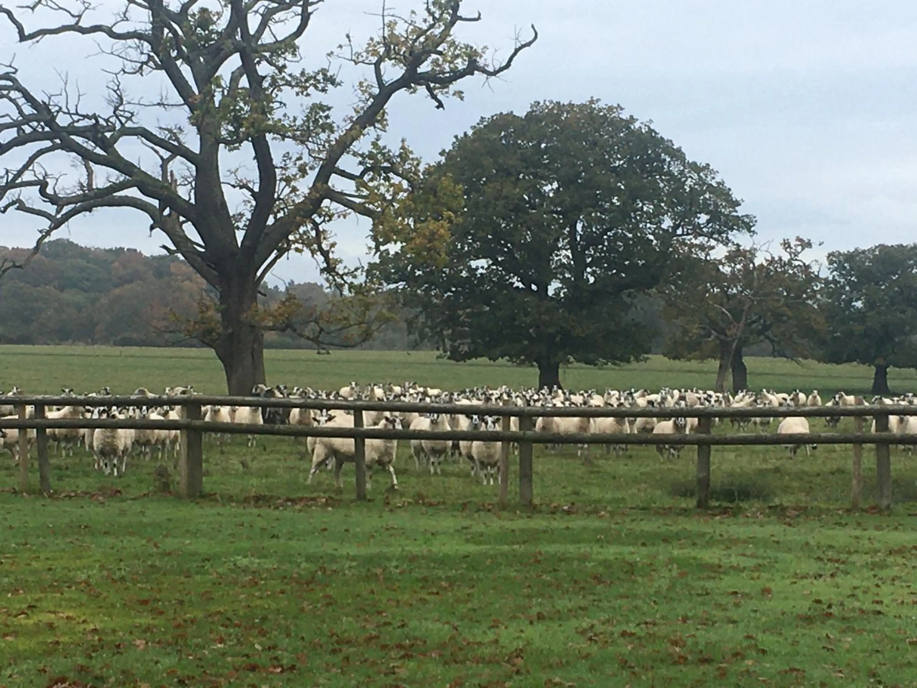 Natural landscape in Private Entry Double bedroom with beautiful views!