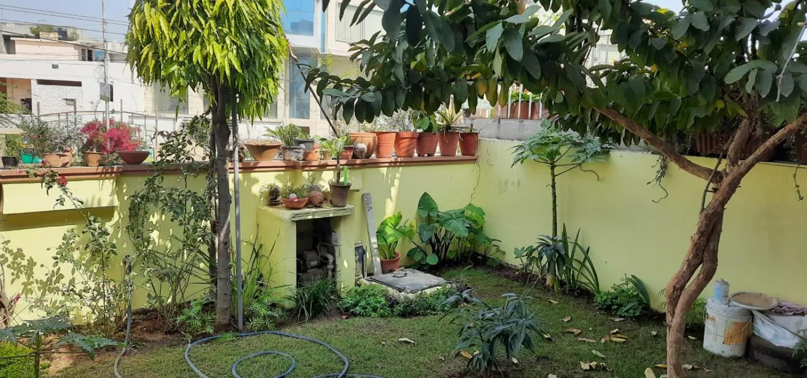 Garden in Padmalayabnb