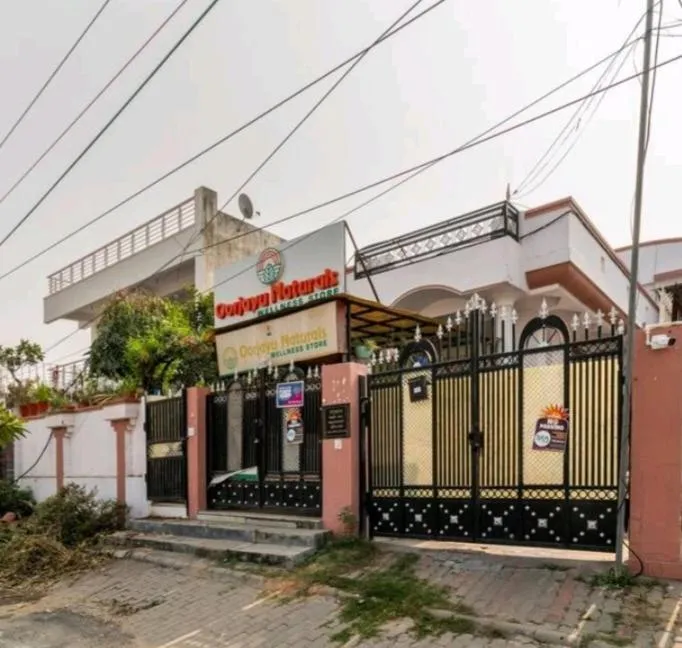 Property building in Padmalayabnb