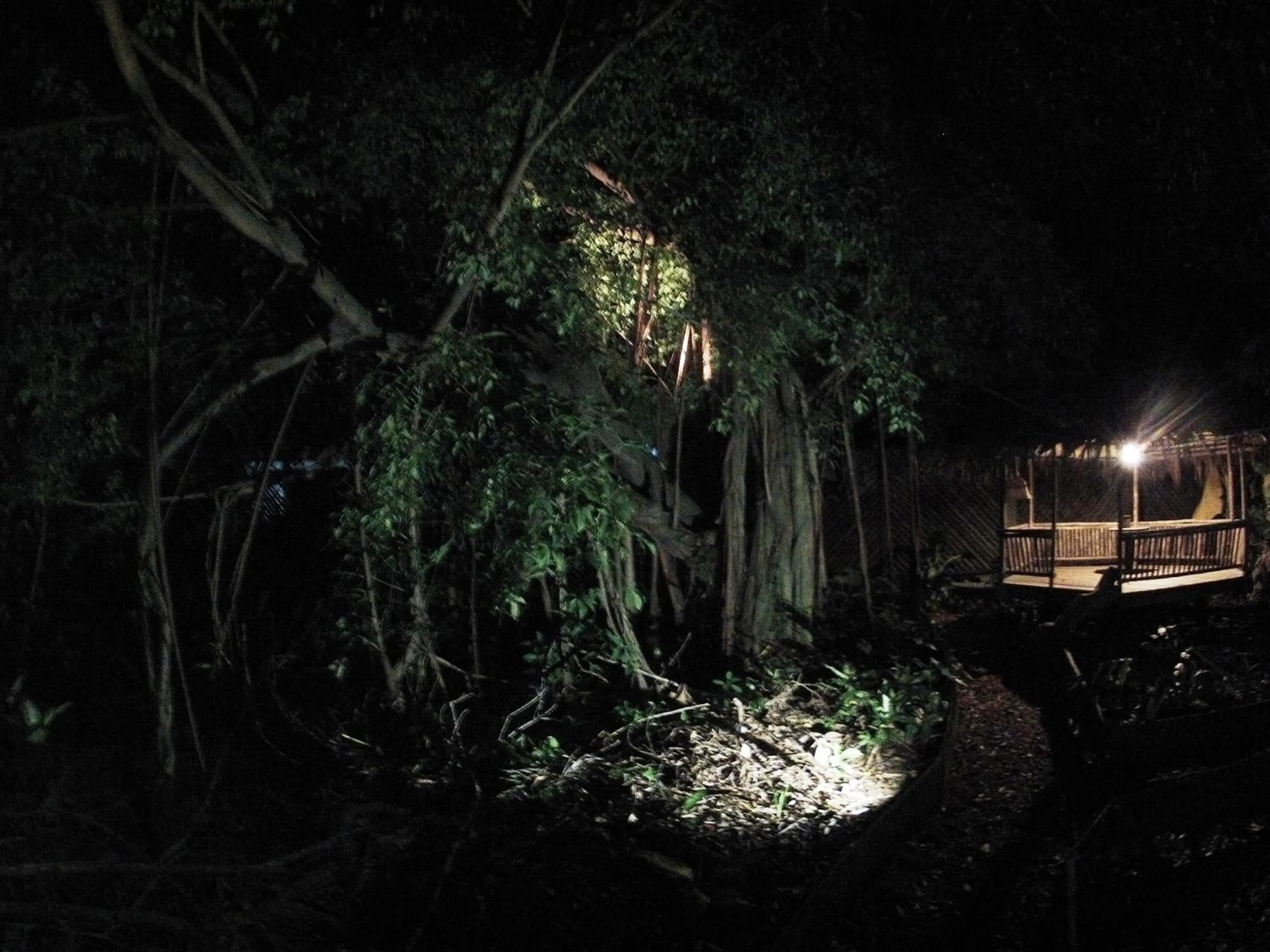 Natural landscape in Bukit Raya Guesthouse