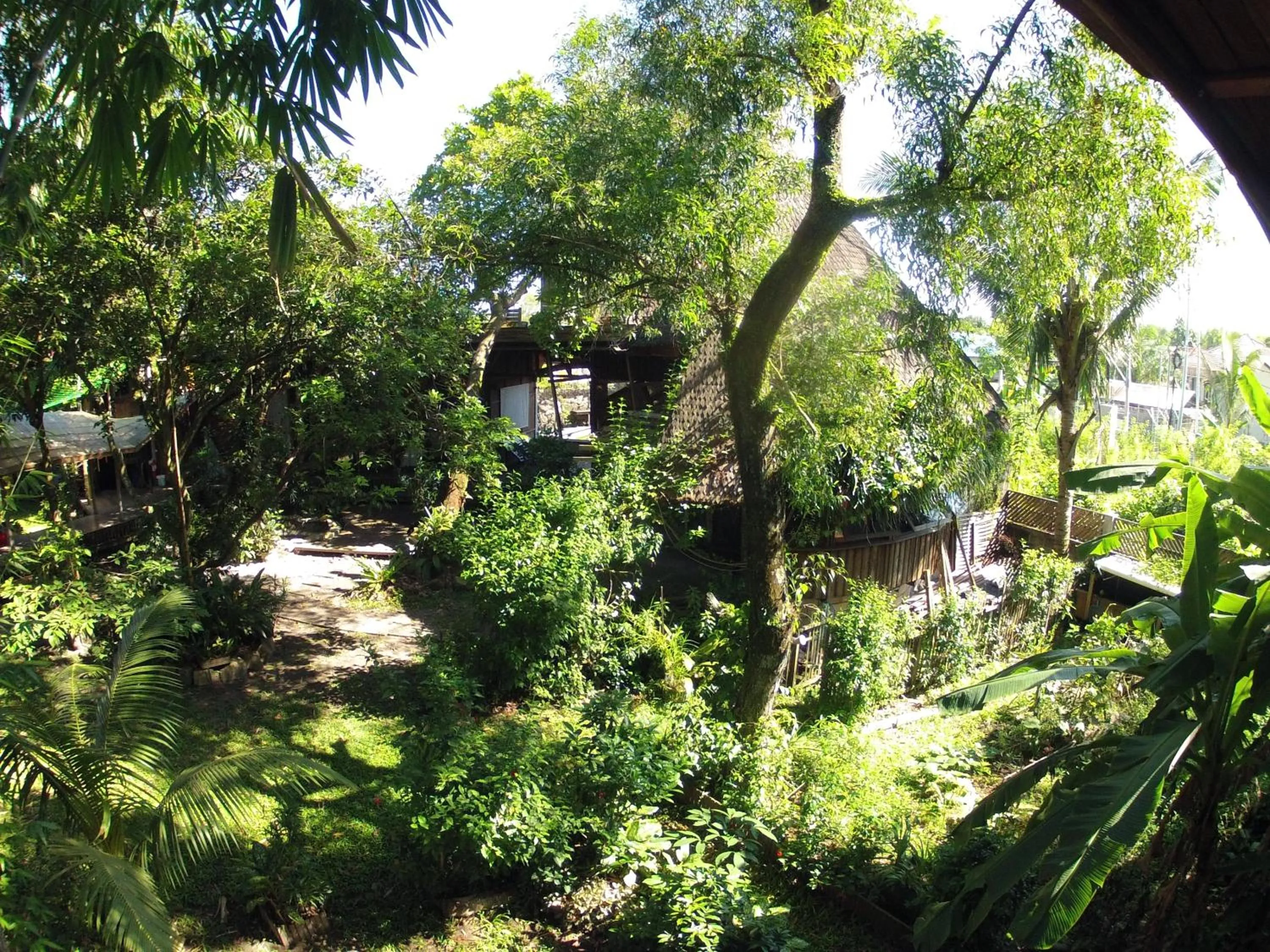 Natural landscape in Bukit Raya Guesthouse
