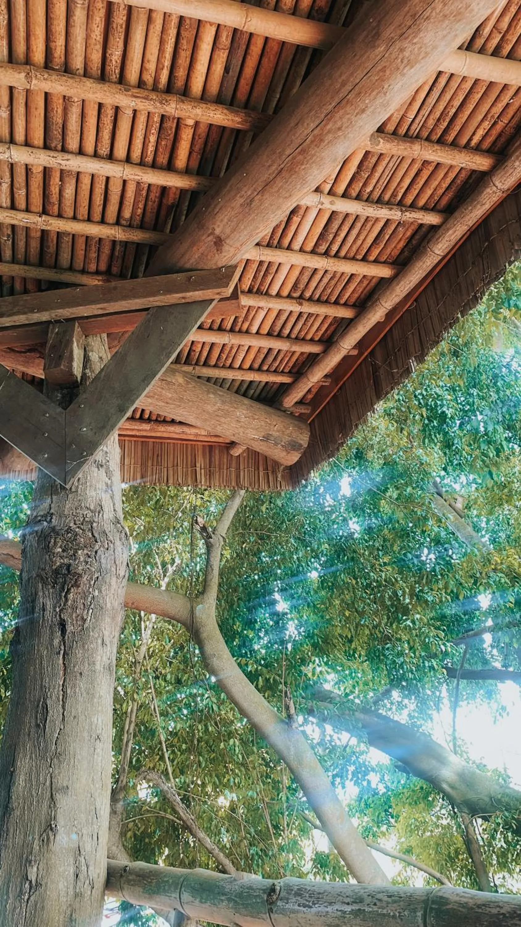 View (from property/room) in Bukit Raya Guesthouse