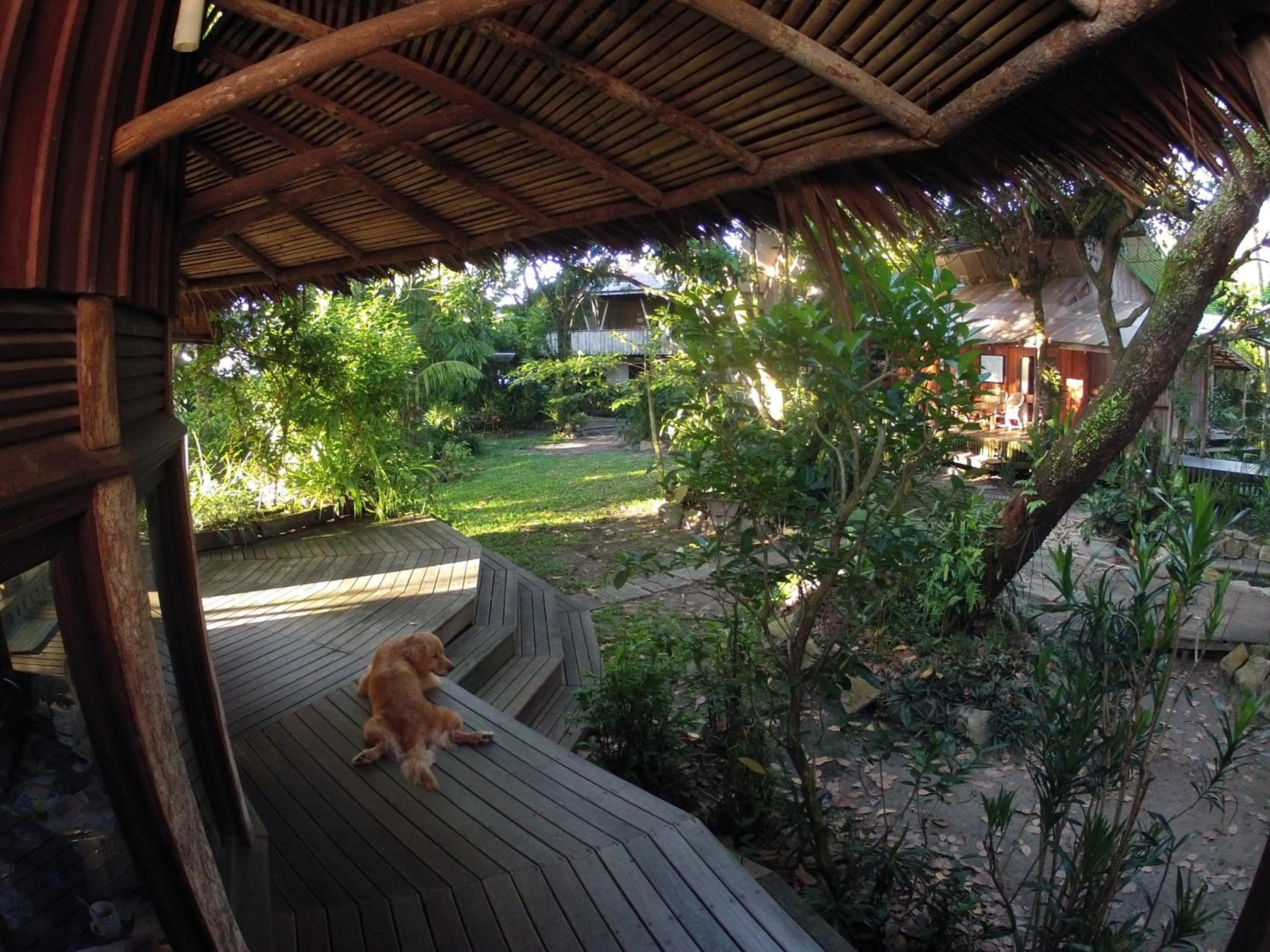 Natural landscape in Bukit Raya Guesthouse
