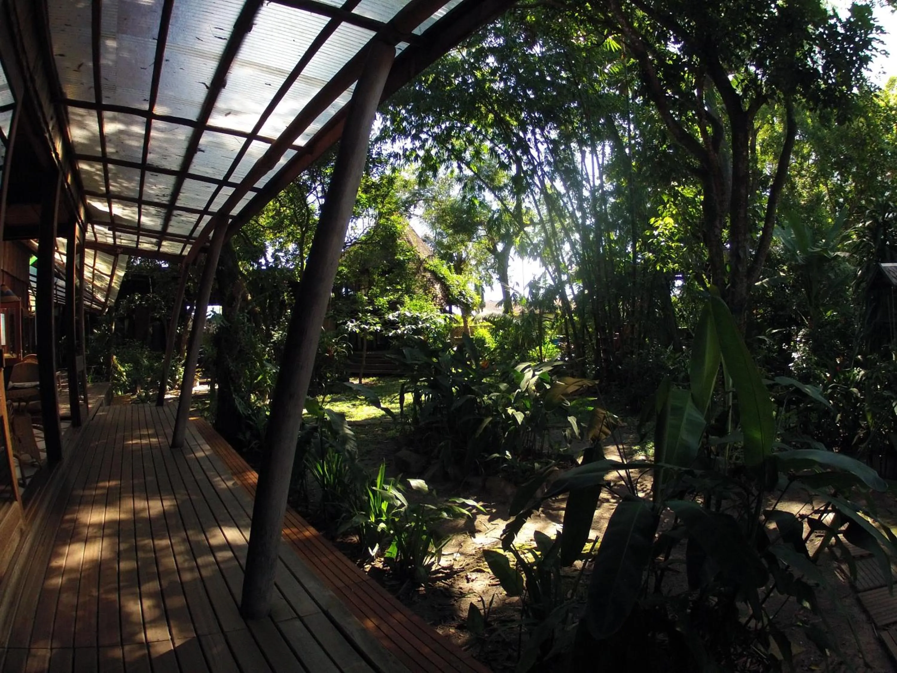 Natural landscape in Bukit Raya Guesthouse