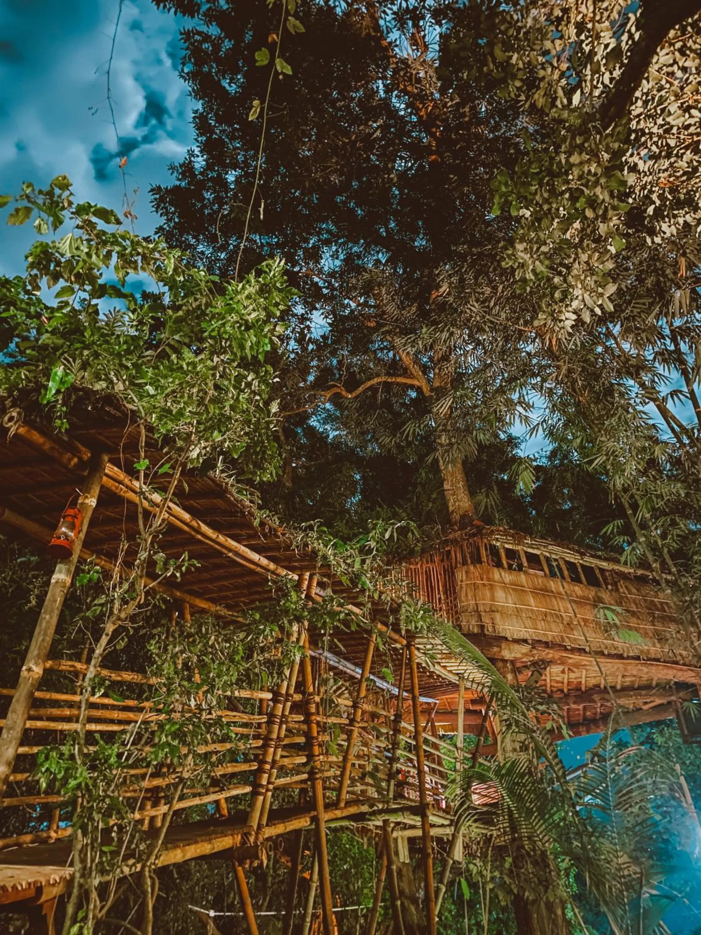 View (from property/room) in Bukit Raya Guesthouse