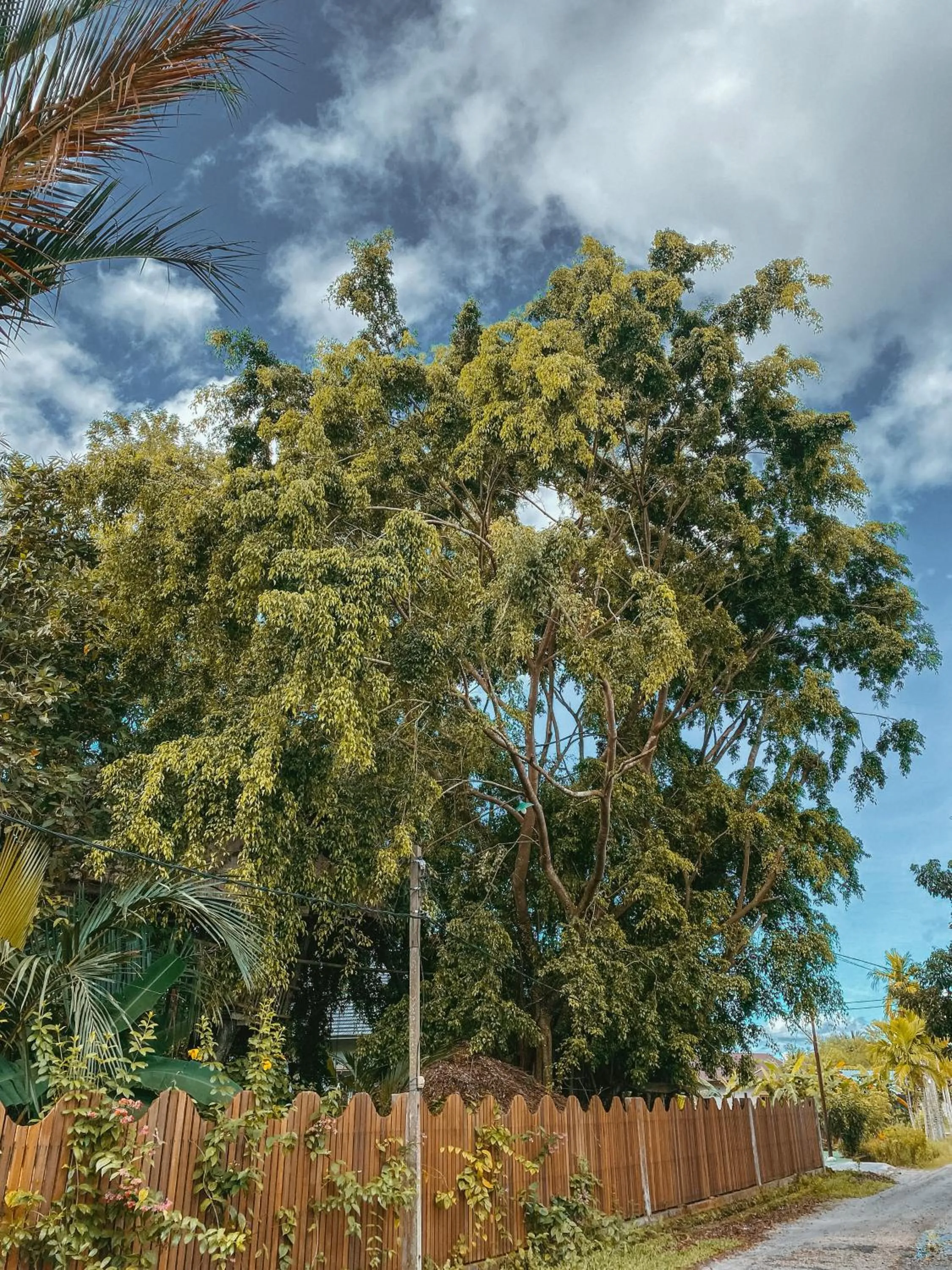 View (from property/room) in Bukit Raya Guesthouse