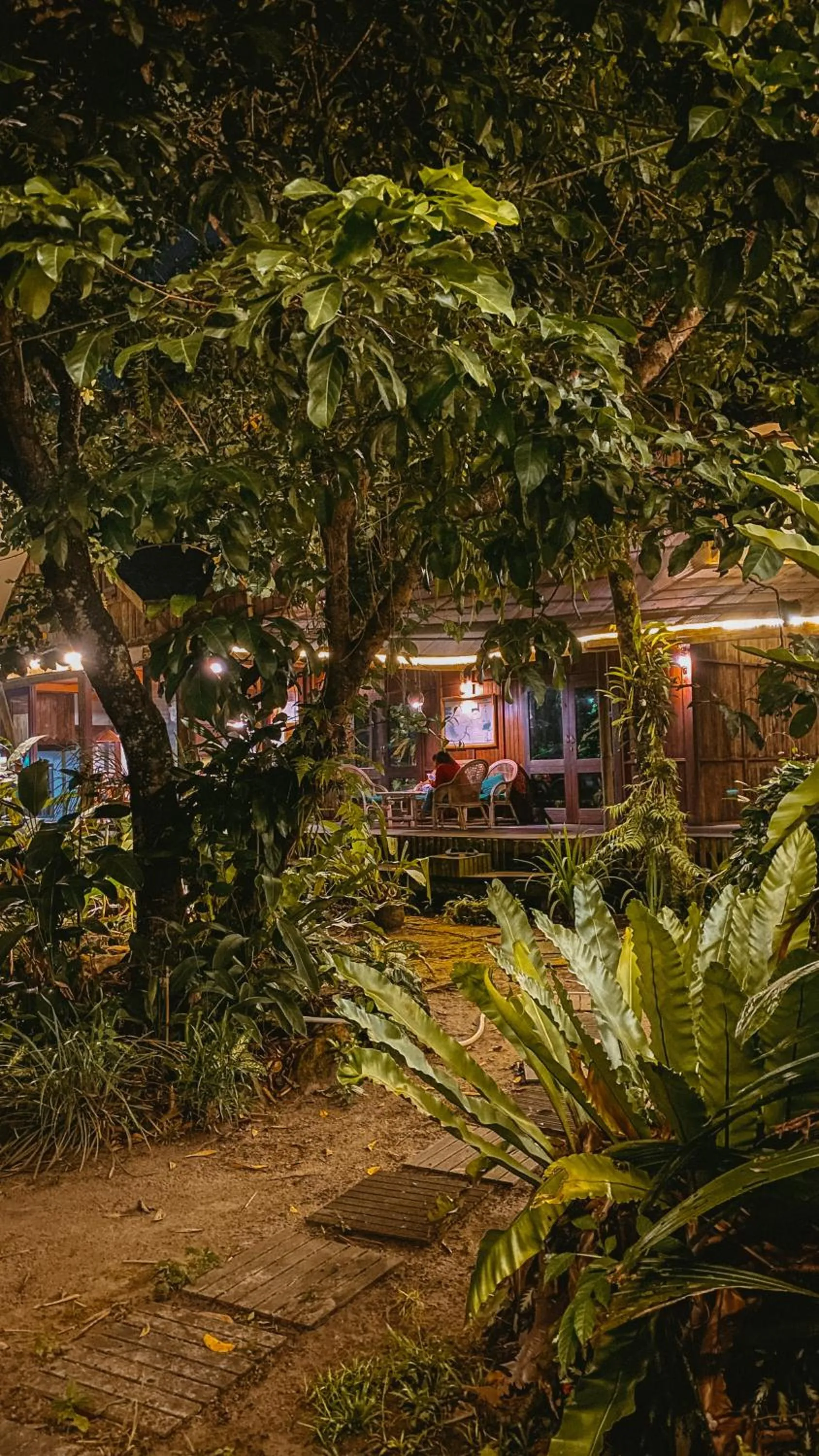 View (from property/room) in Bukit Raya Guesthouse