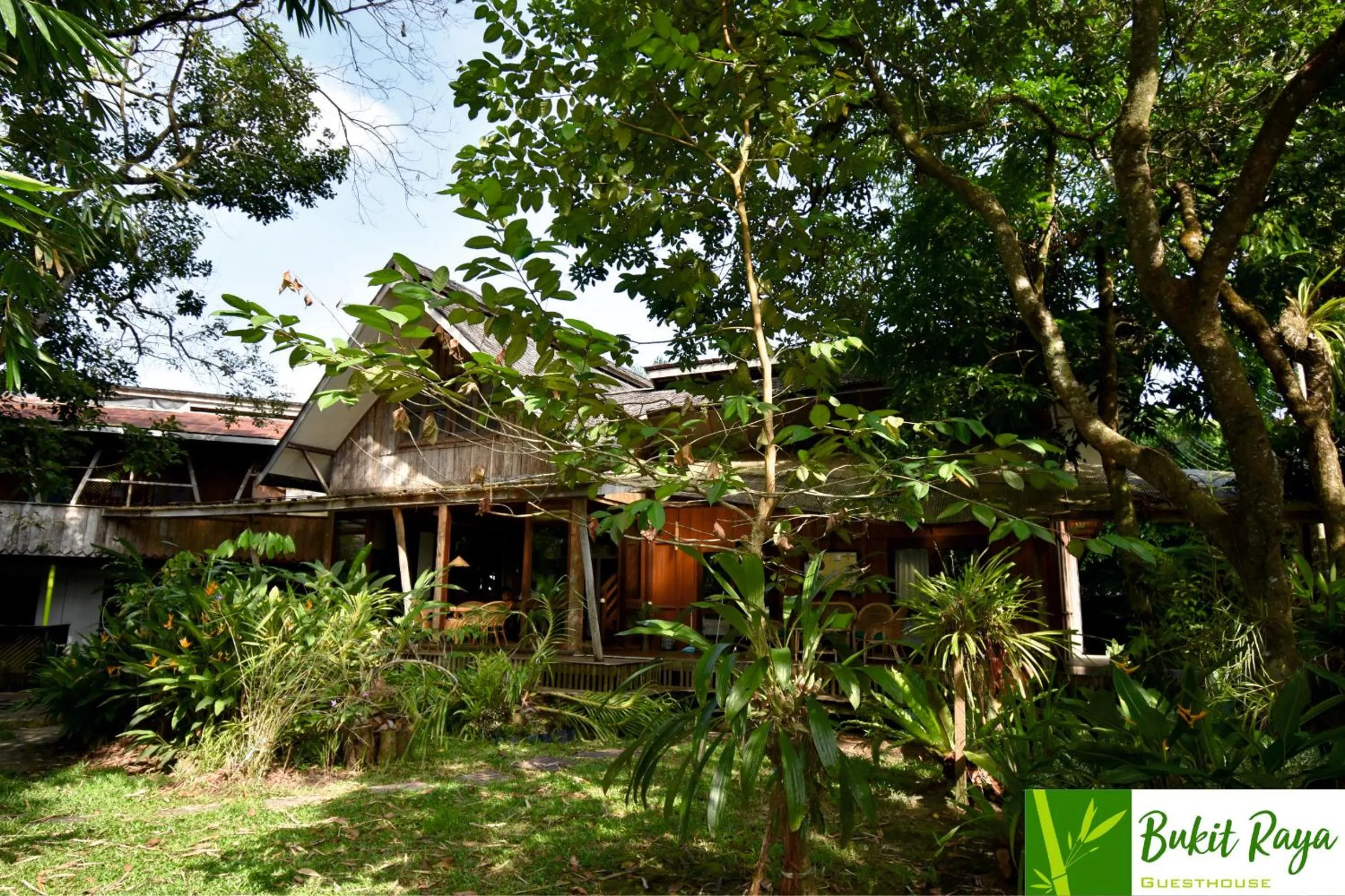 Garden in Bukit Raya Guesthouse