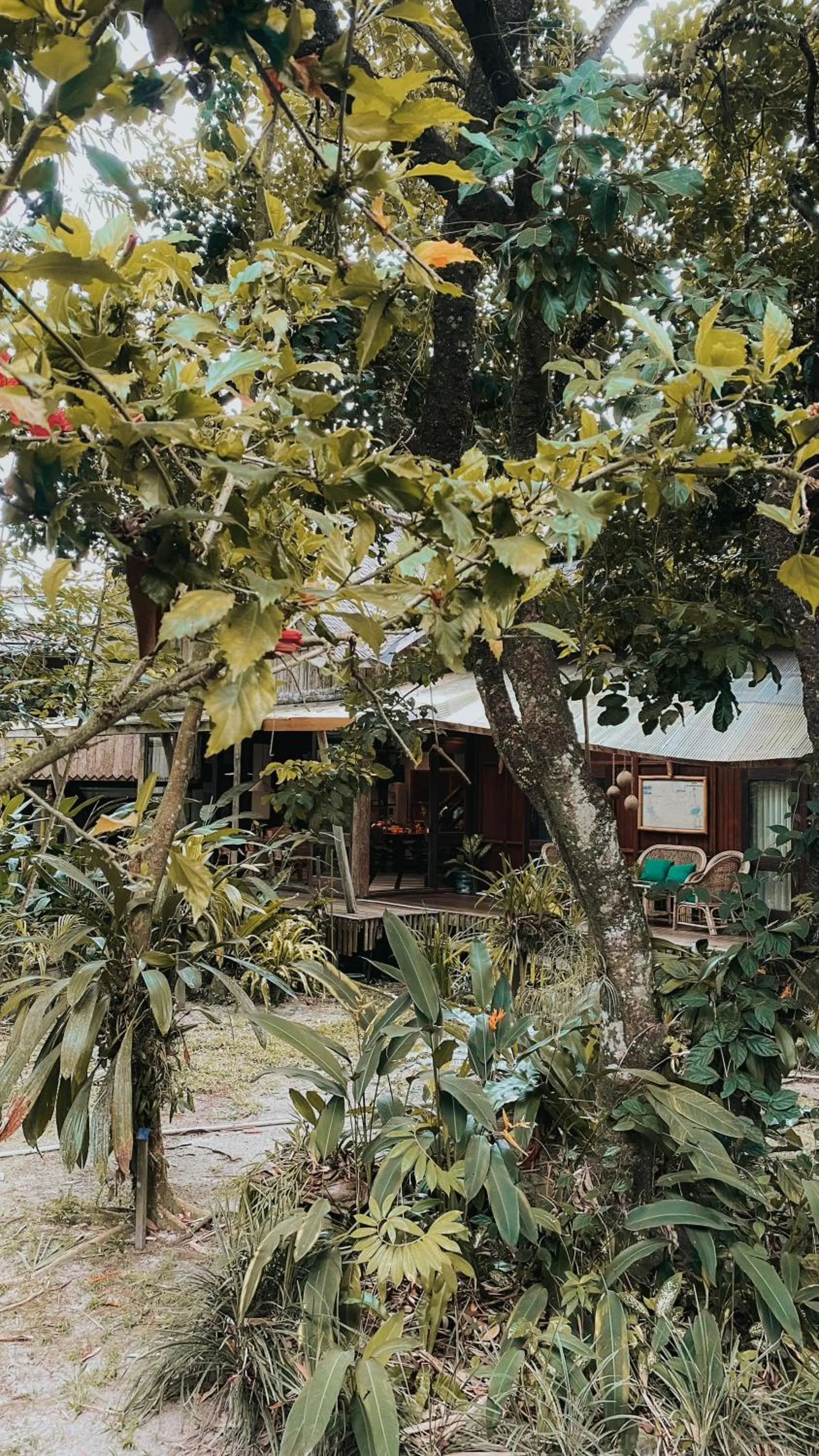 View (from property/room) in Bukit Raya Guesthouse