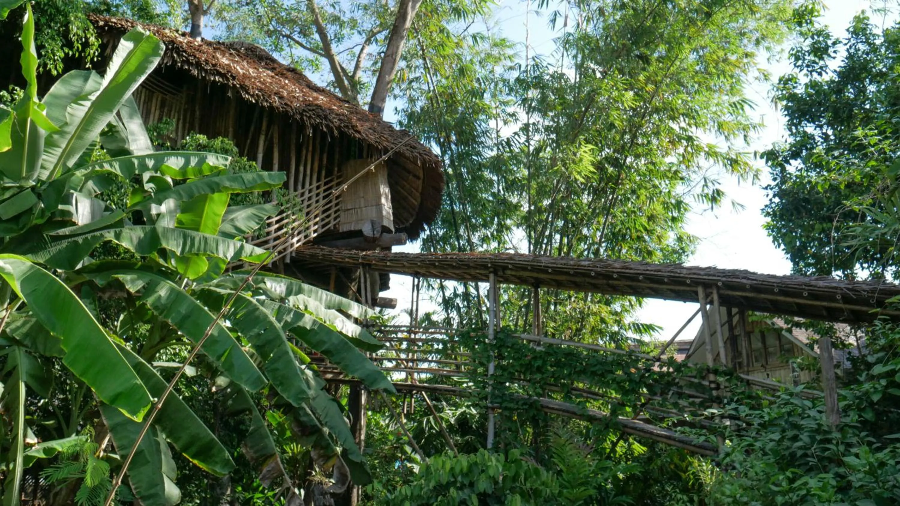 Natural landscape in Bukit Raya Guesthouse