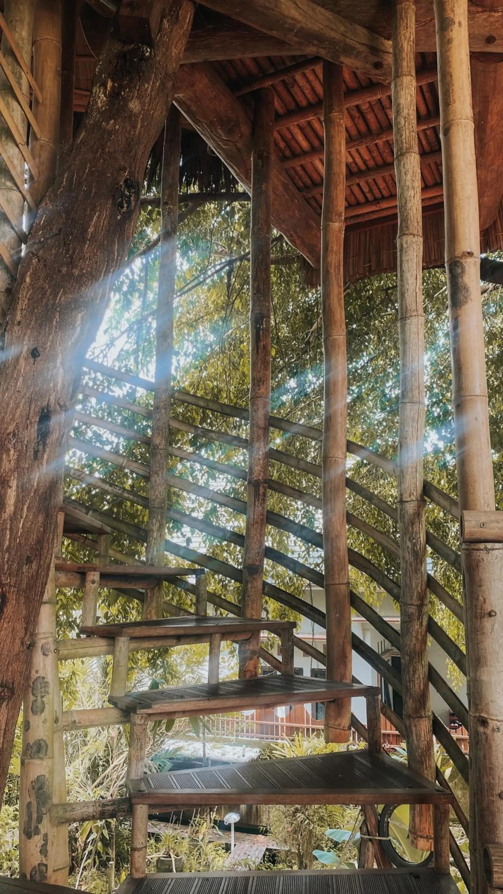 View (from property/room) in Bukit Raya Guesthouse