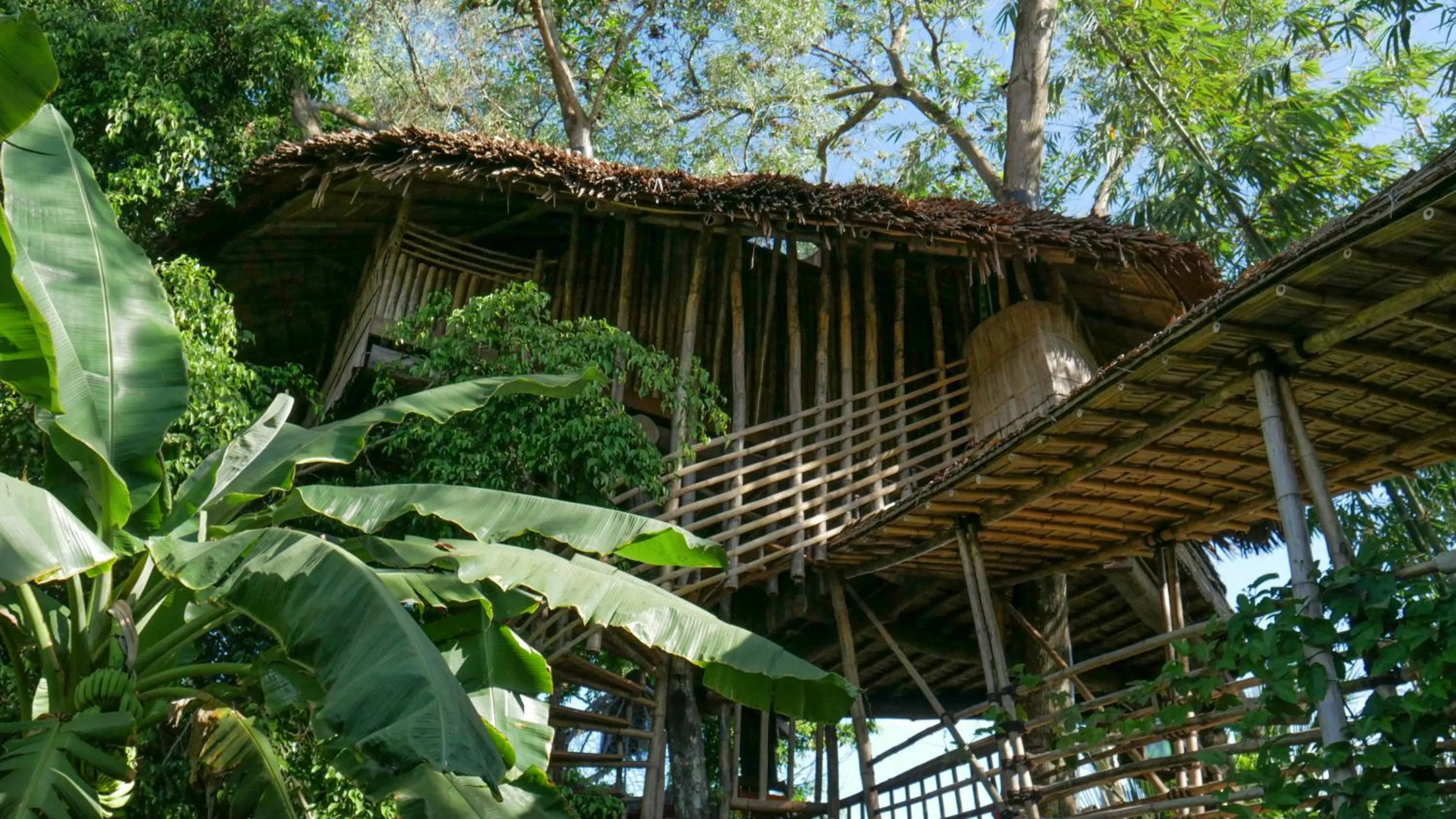 Garden in Bukit Raya Guesthouse