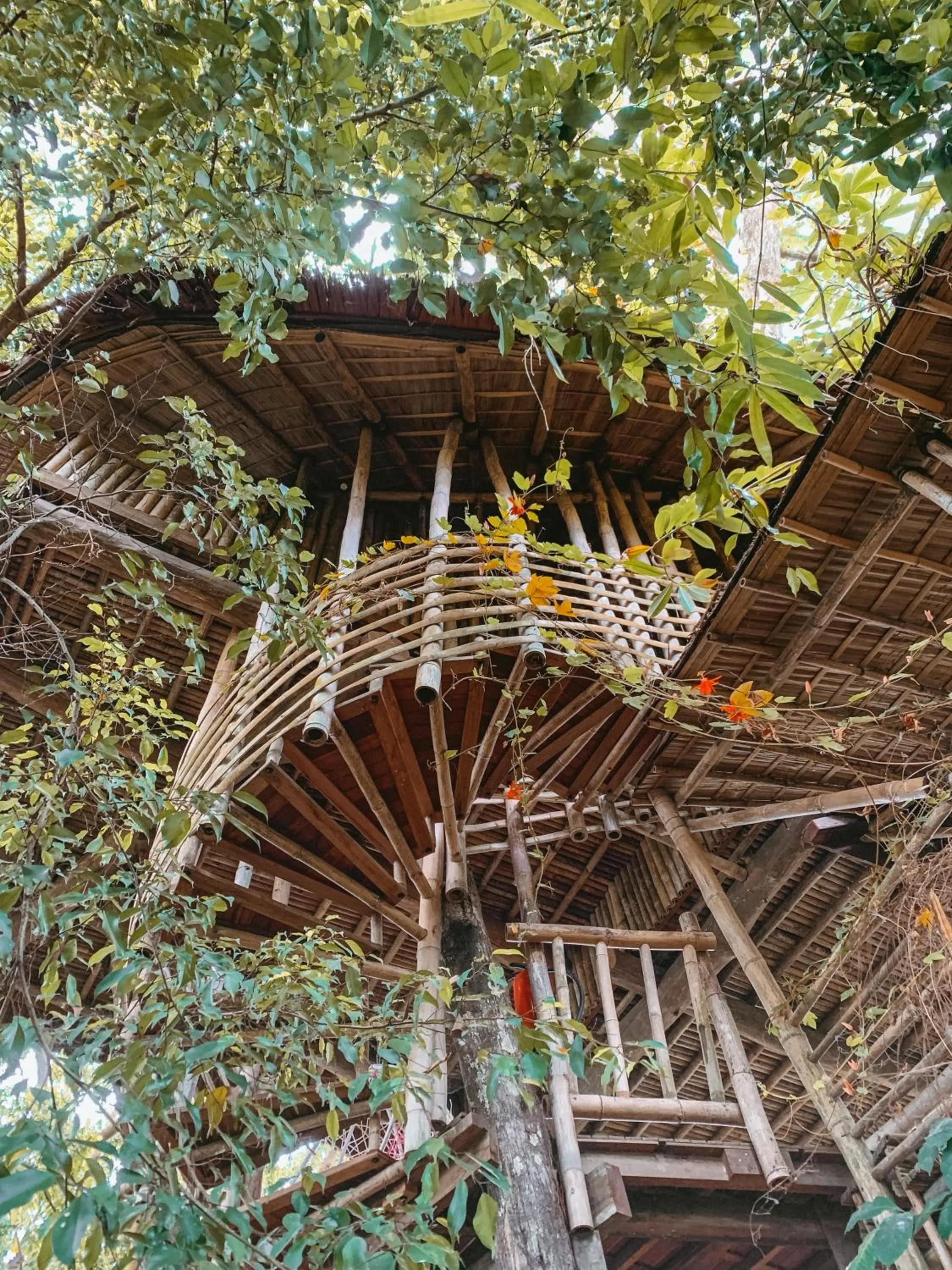 View (from property/room) in Bukit Raya Guesthouse