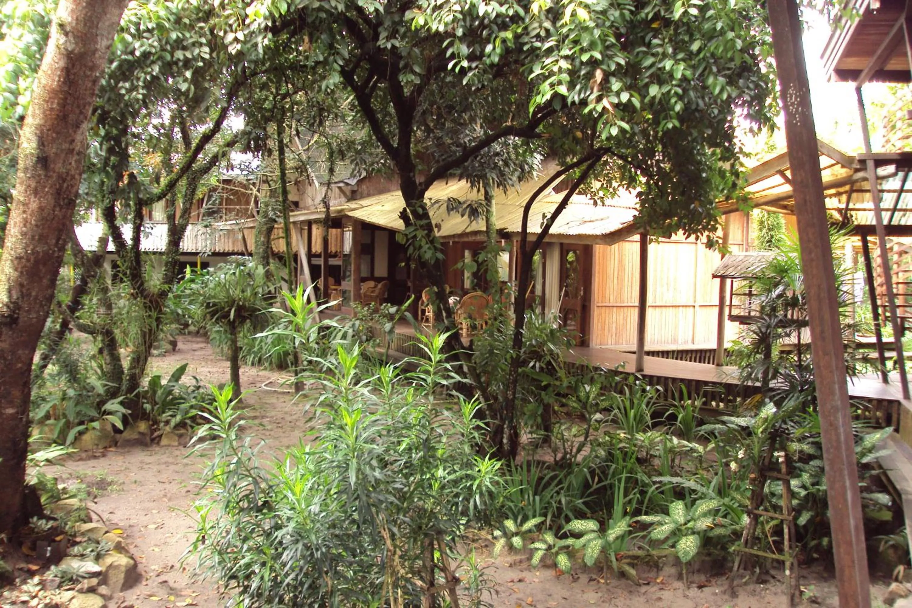 Garden in Bukit Raya Guesthouse