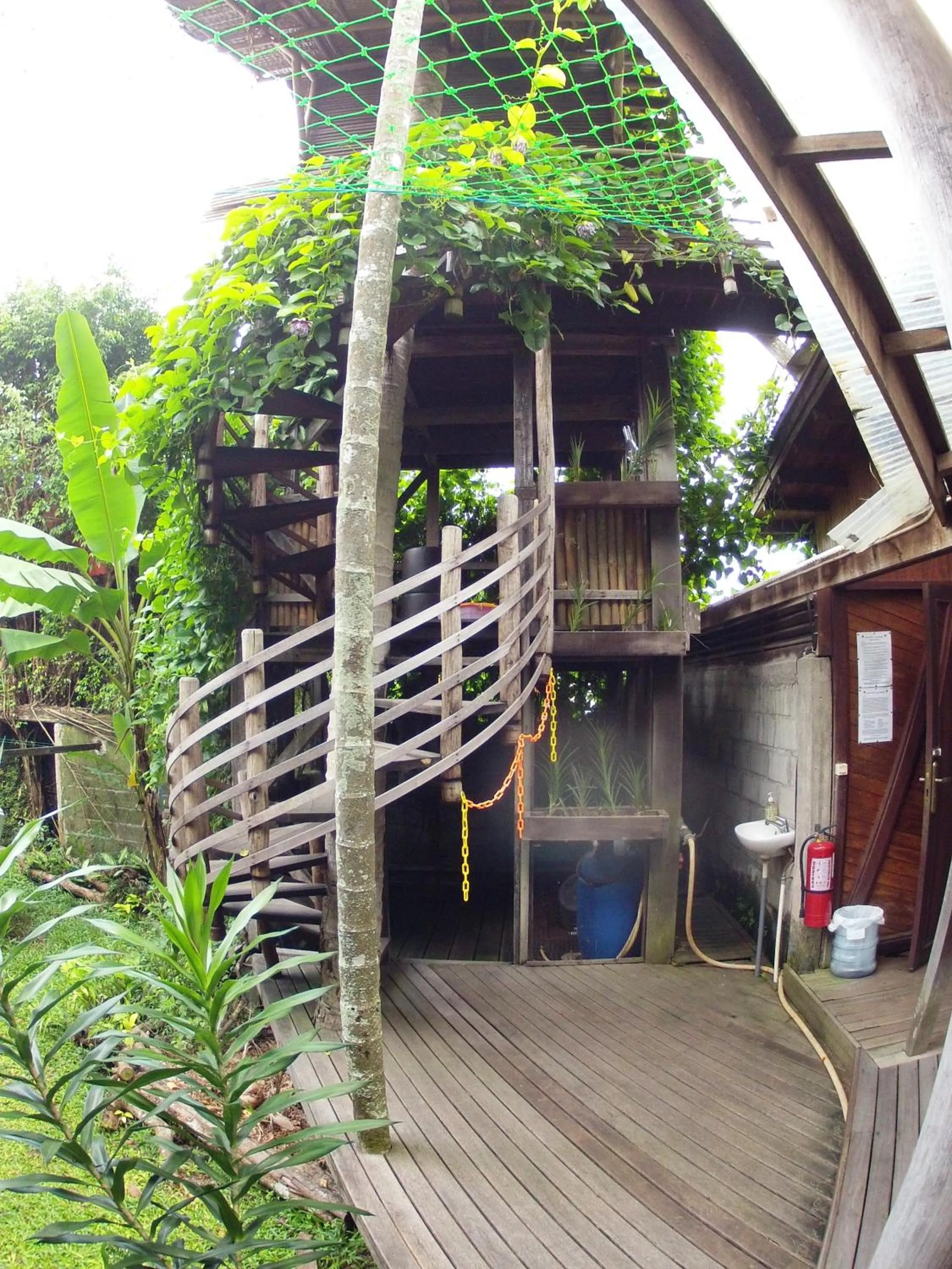 Natural landscape in Bukit Raya Guesthouse