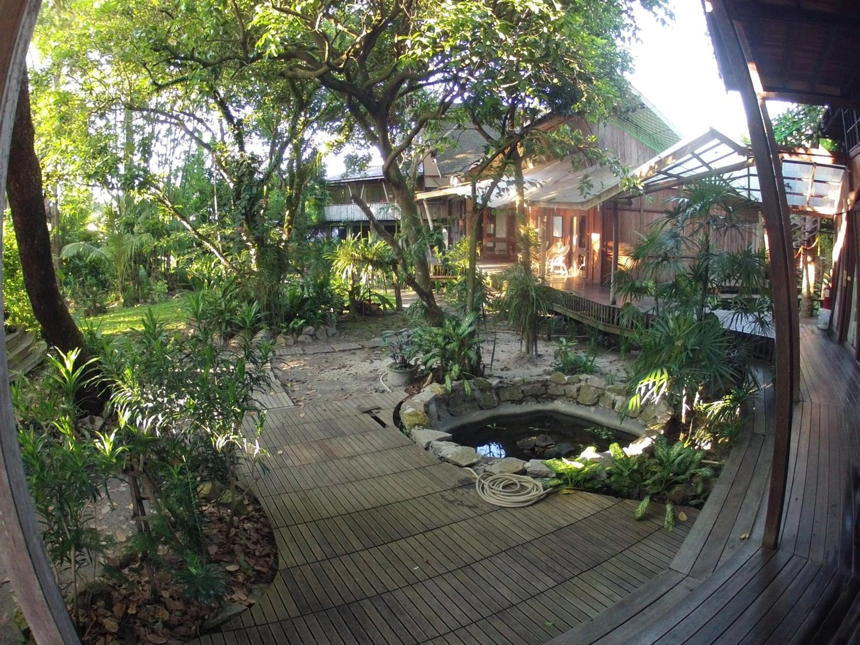 Natural landscape in Bukit Raya Guesthouse