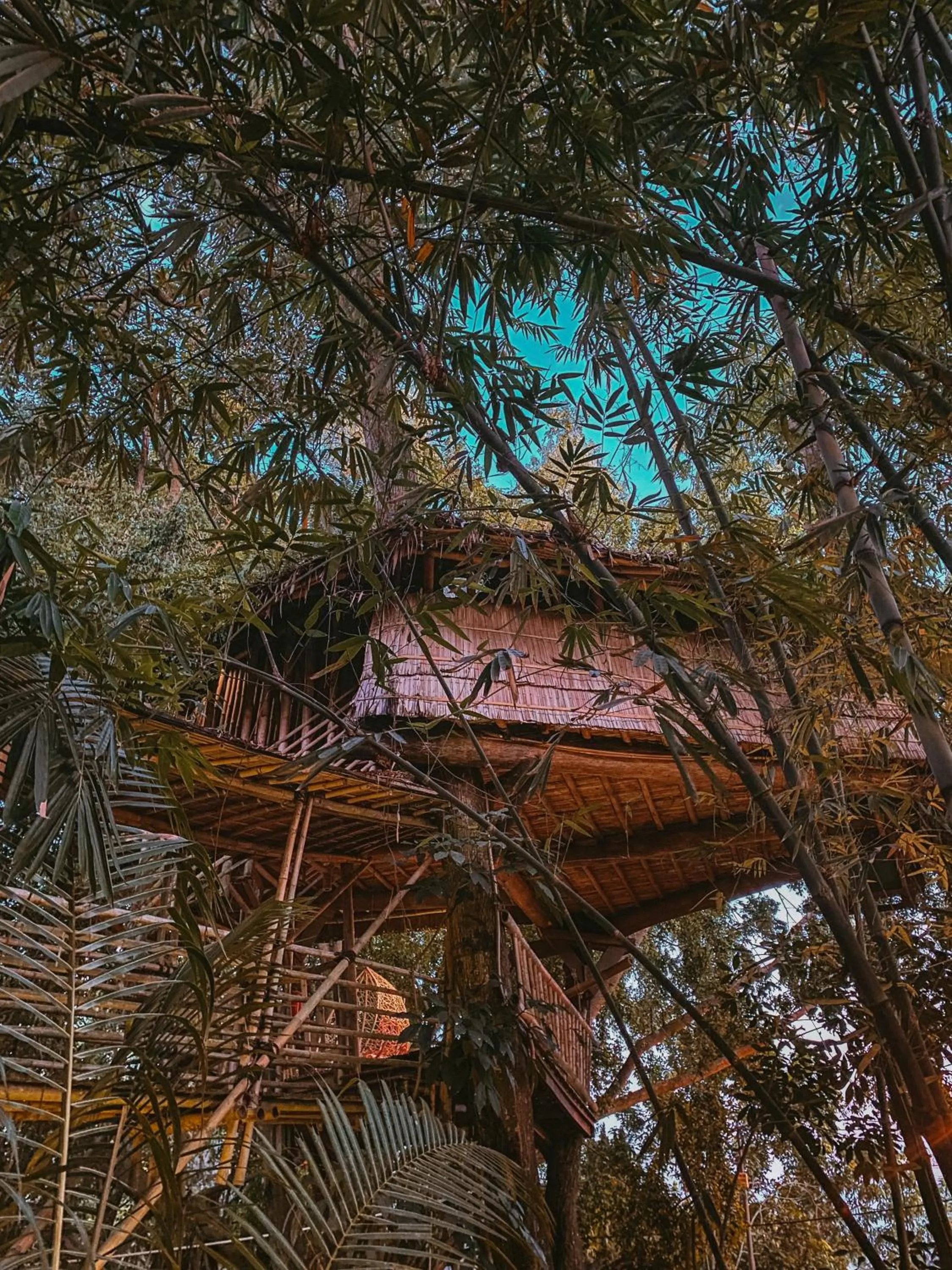 View (from property/room) in Bukit Raya Guesthouse