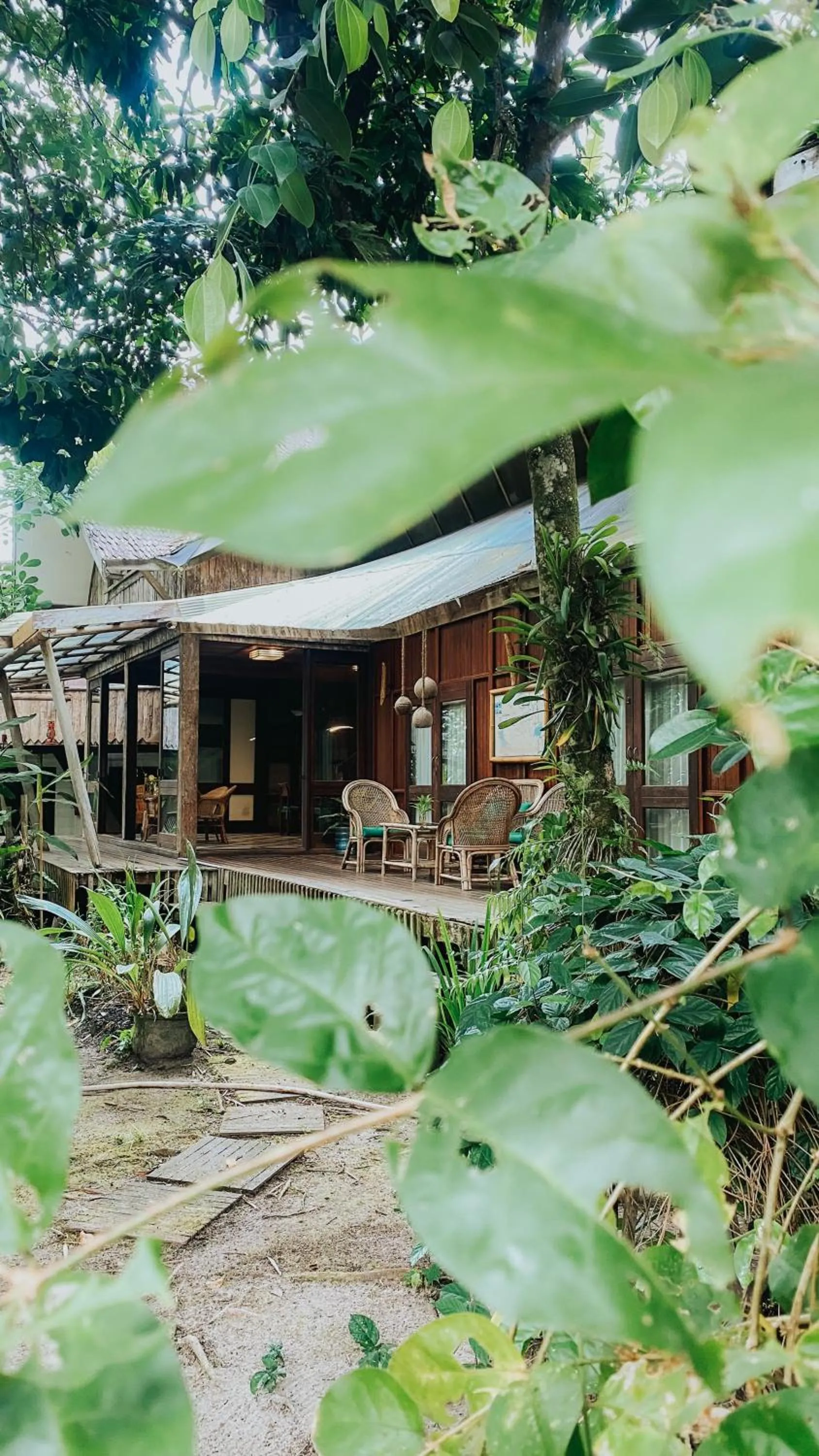 View (from property/room) in Bukit Raya Guesthouse
