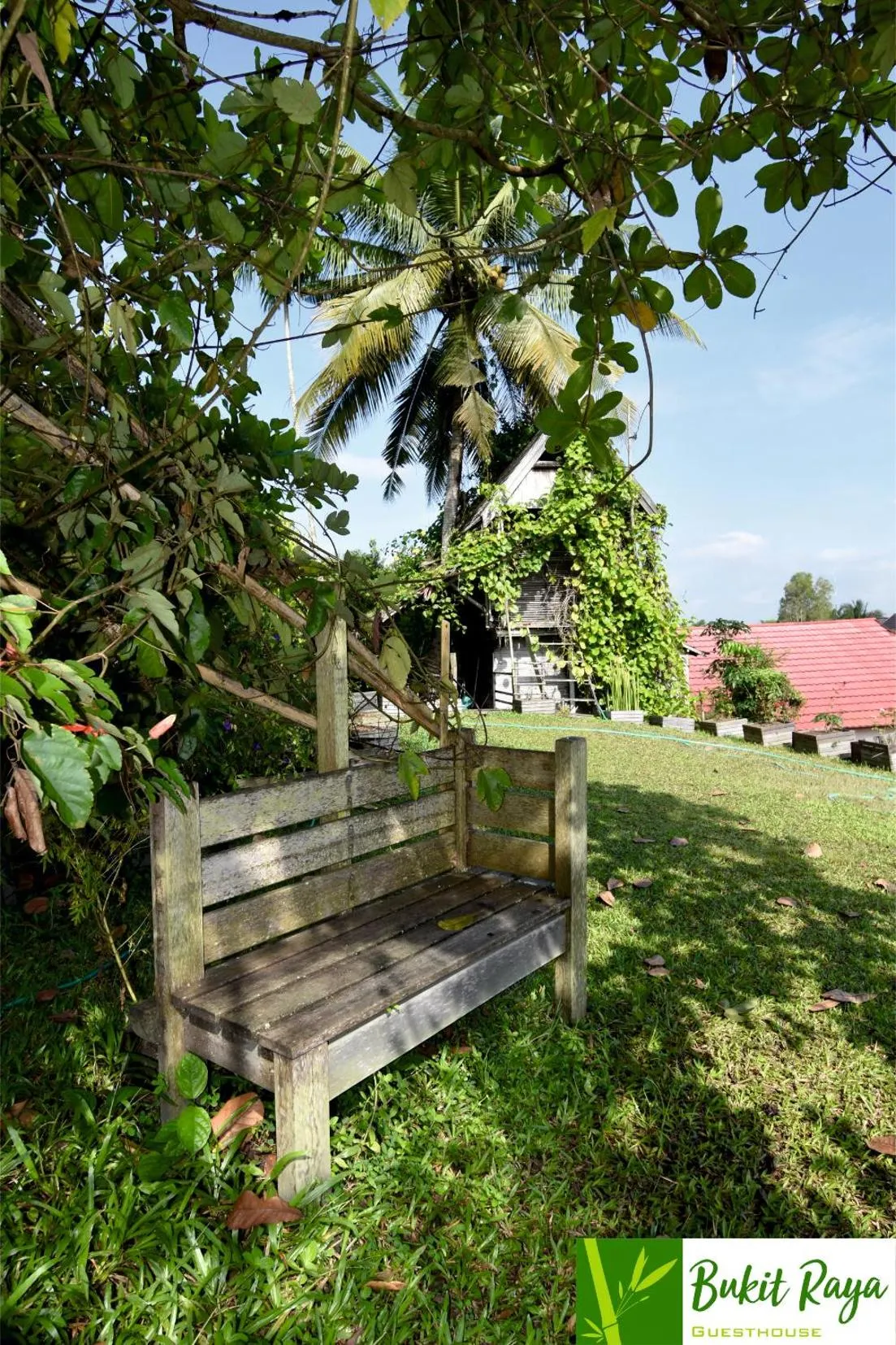 Garden in Bukit Raya Guesthouse